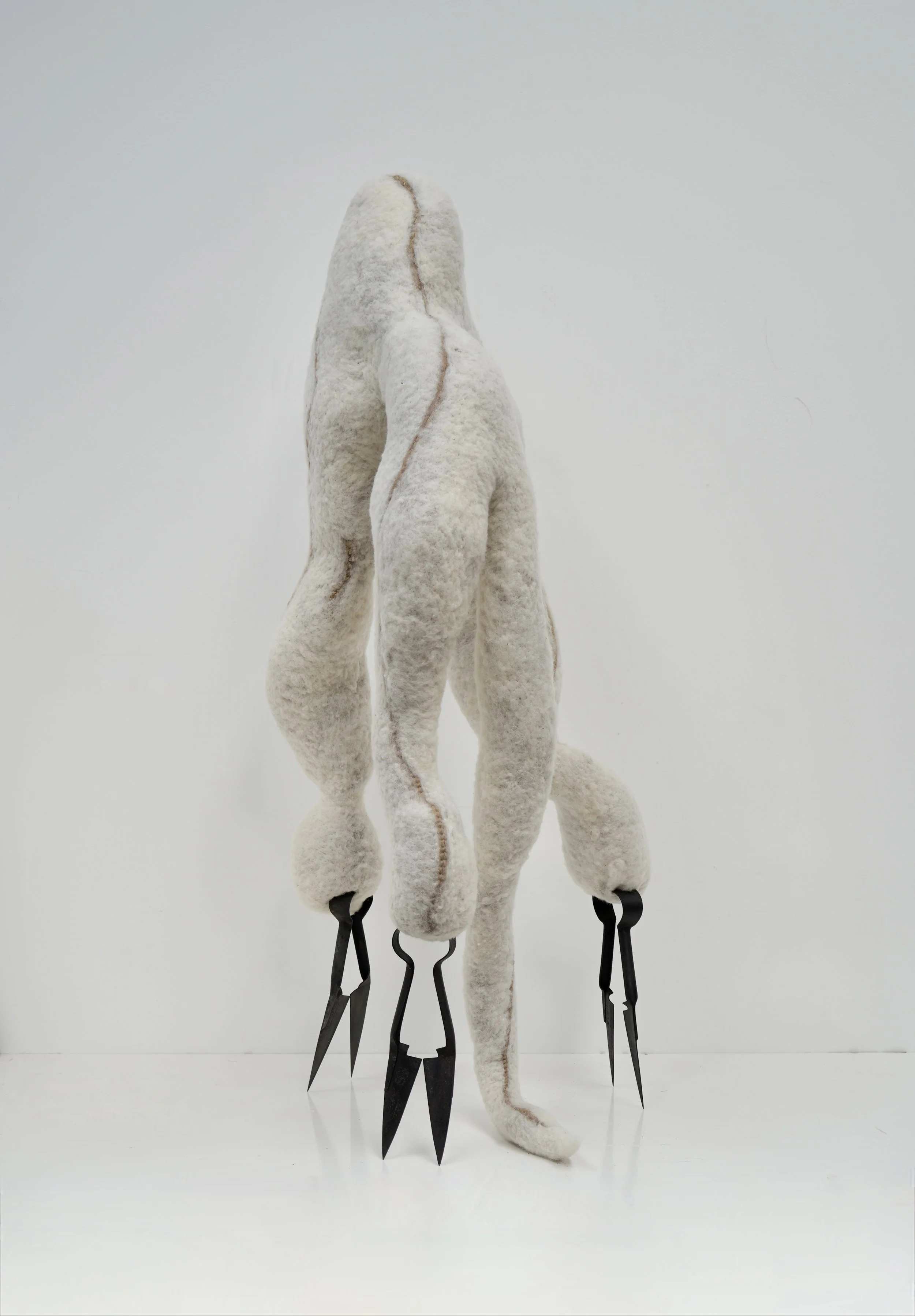 Cloud of Unknowing 2025, photo Nicola Turner...JPG