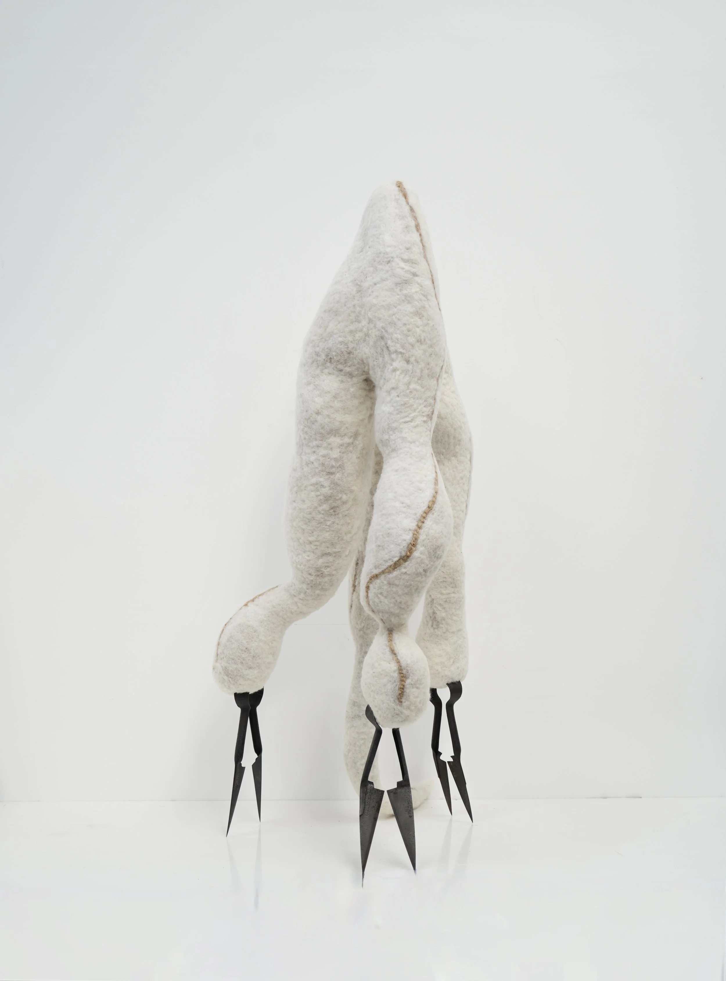 Cloud of Unknowing 2025, photo Nicola Turner.......JPG