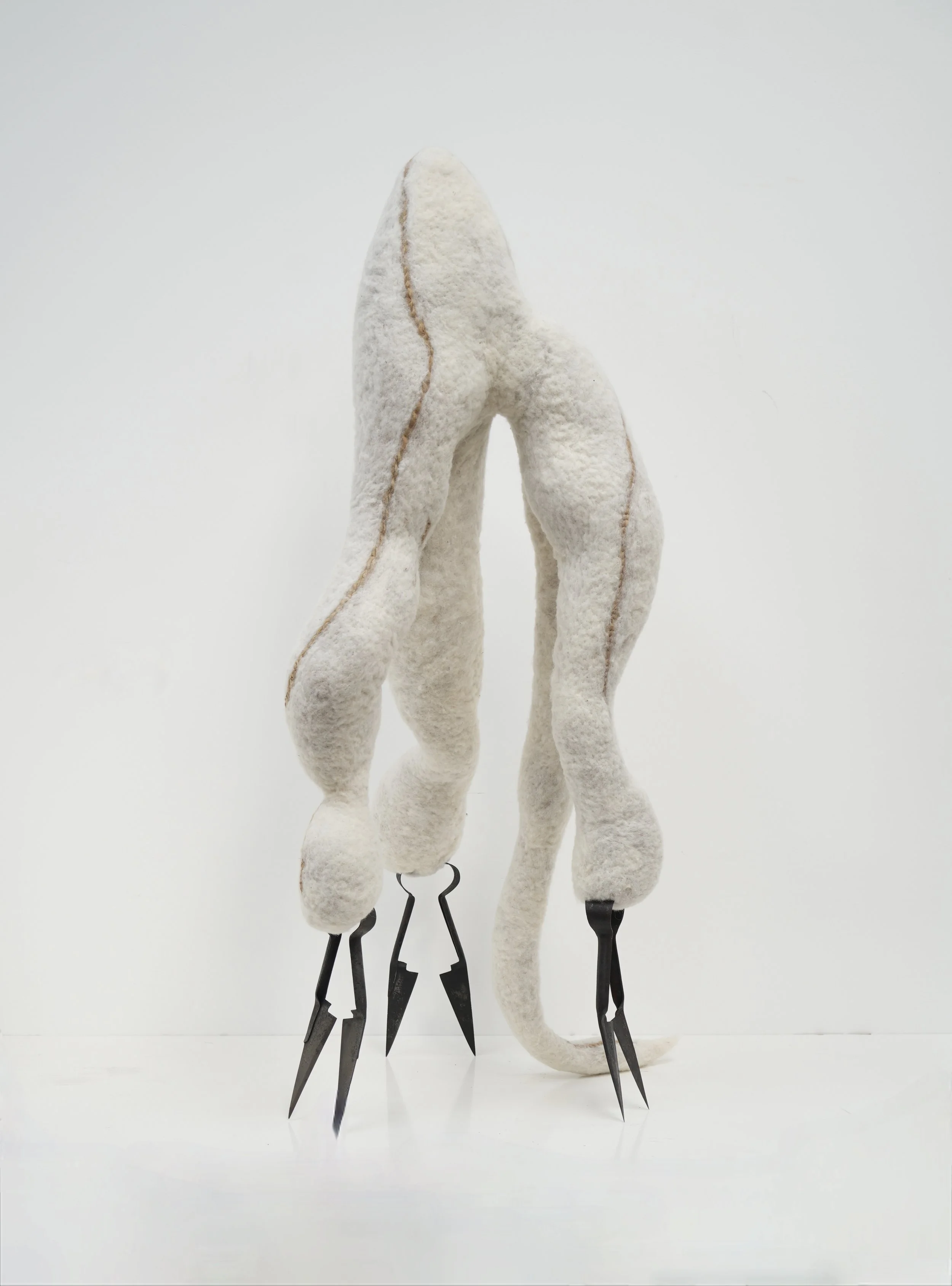 Cloud of Unknowing 2025, photo Nicola Turner.JPG