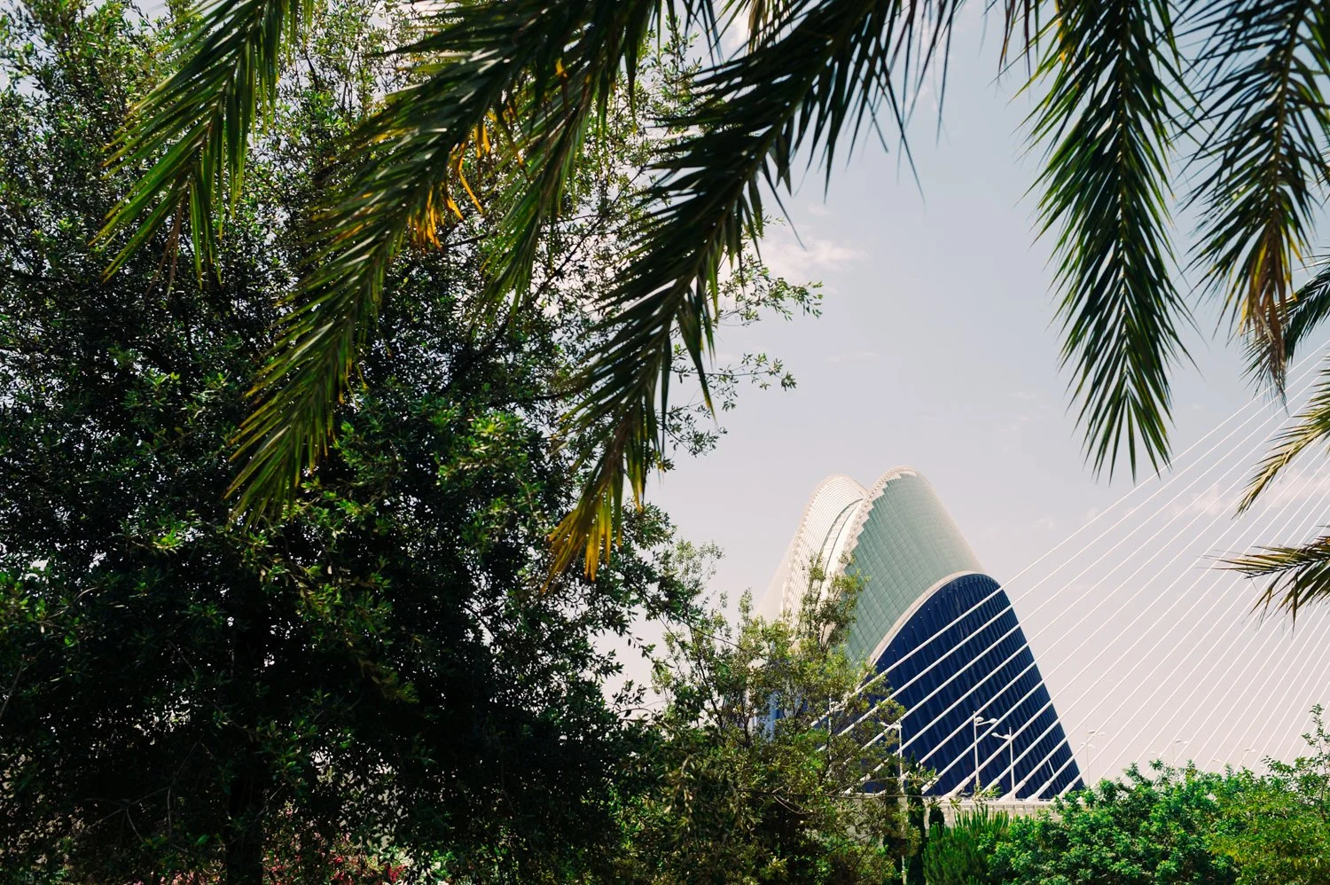 The G-Series Portrait Archive | 3 Essential Clean Film Presets for Lightroom & Mobile