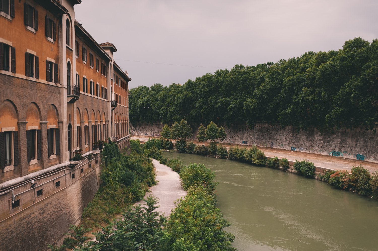 E5 Modern Classic | Earthy Warm & Saturated Analog Preset for Lightroom & Mobile