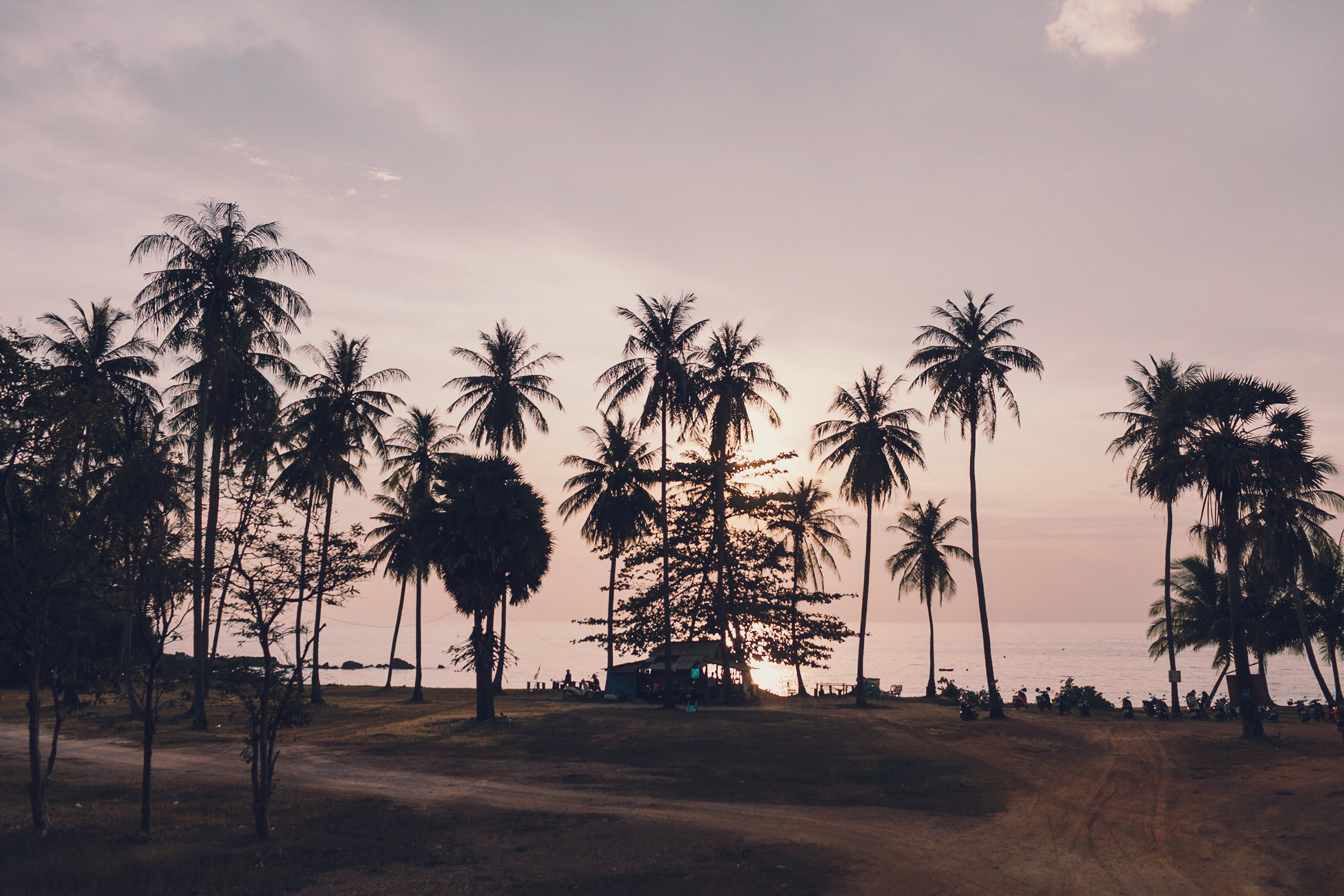 Warm tropical sunset with palm tree silhouettes, edited with the H1 Summer Nostalgia preset for a soft, hazy, and golden cinematic look.