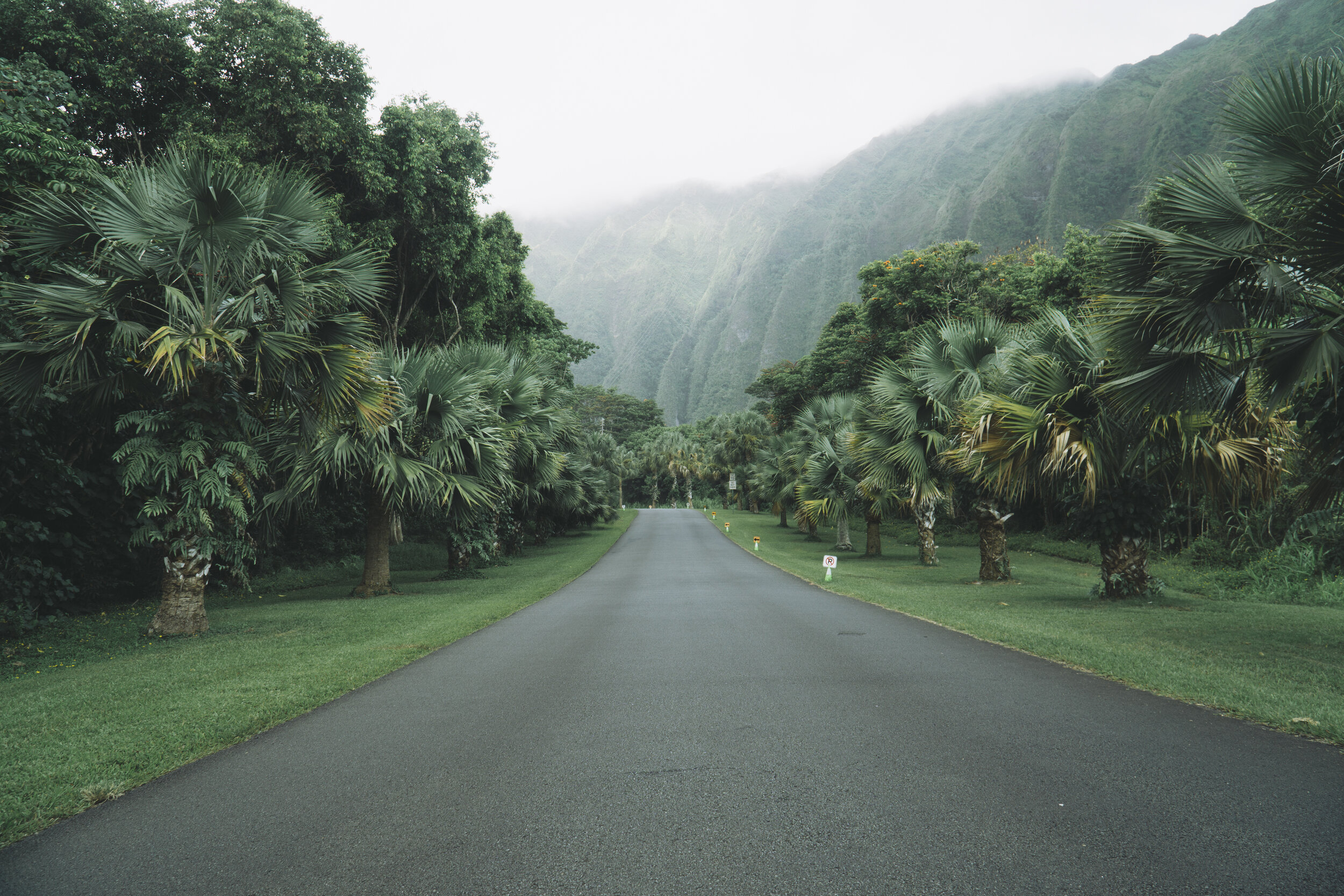 20190815VSCO A8-10001.jpg
