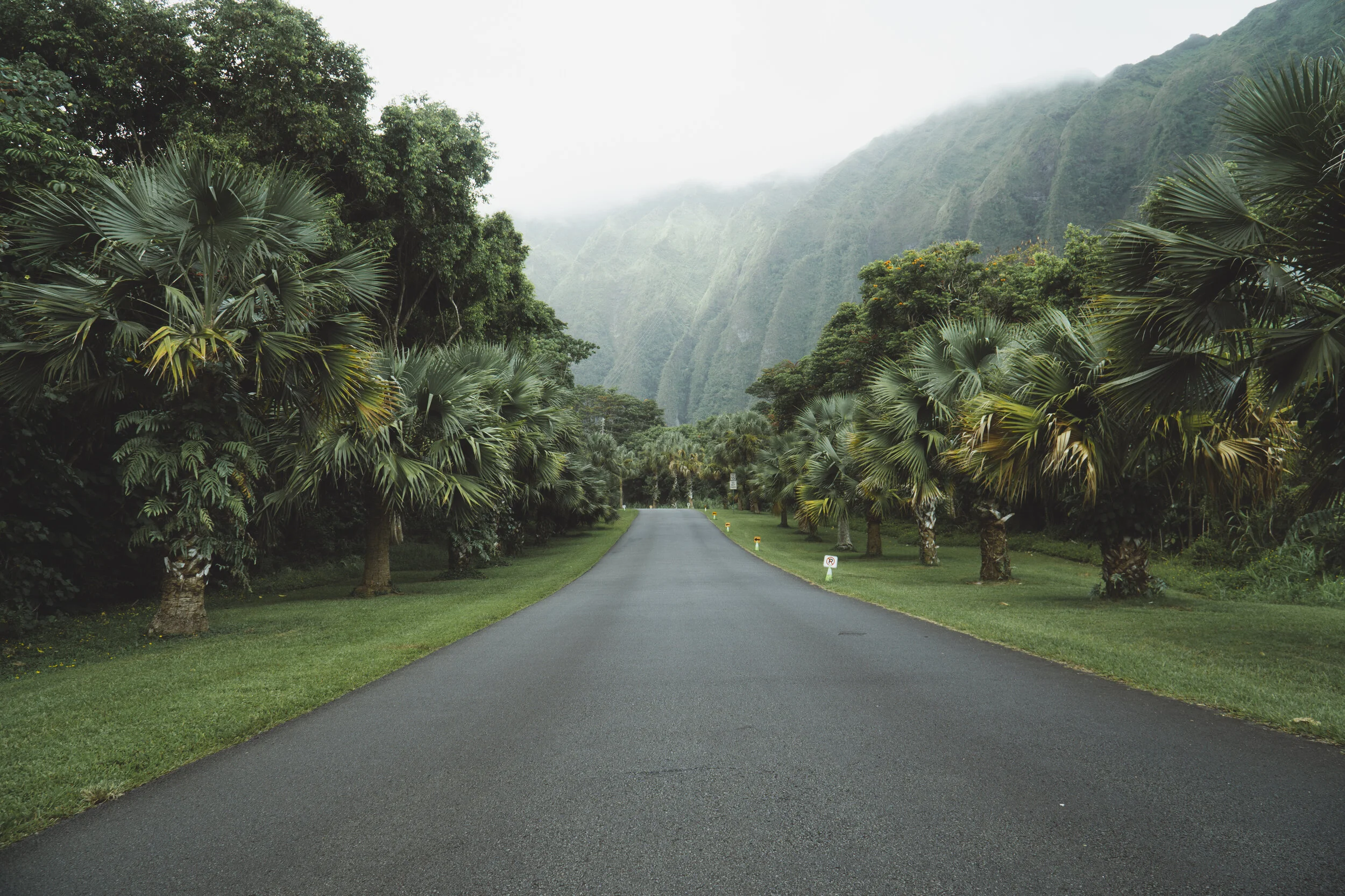 20190815VSCO A9-10001.jpg