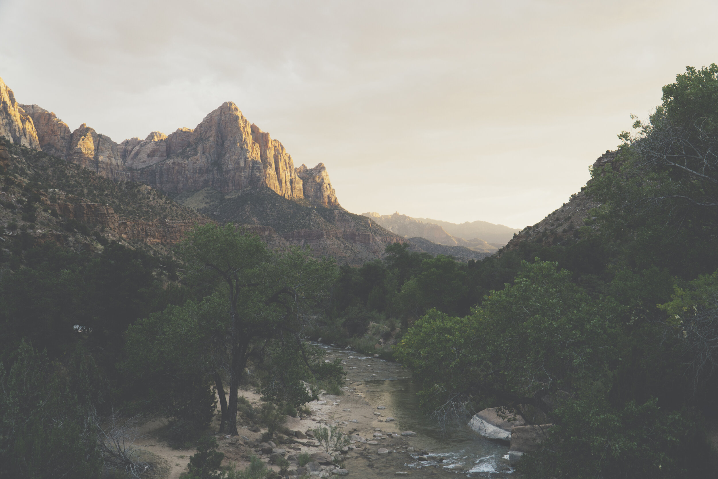 20190916VSCO T1-10004.jpg