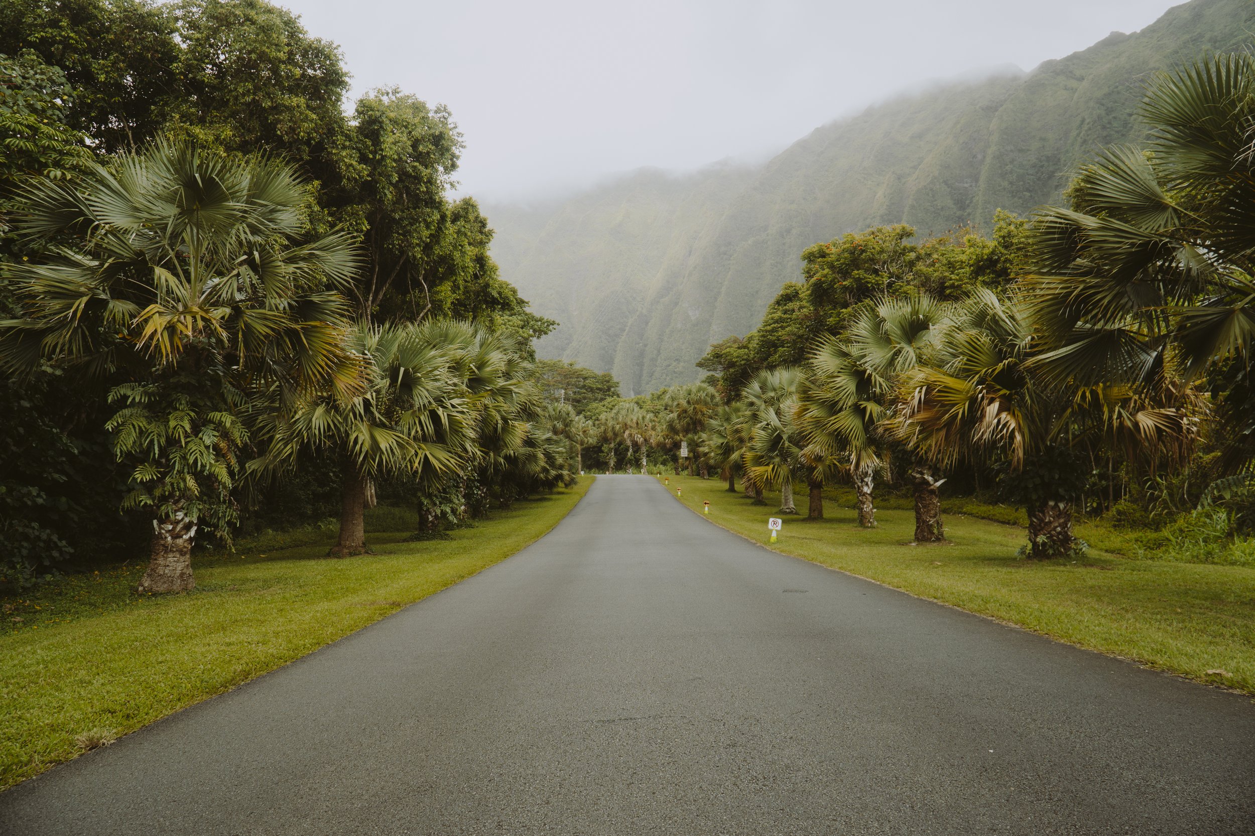 20190815VSCO M5-10001.jpg