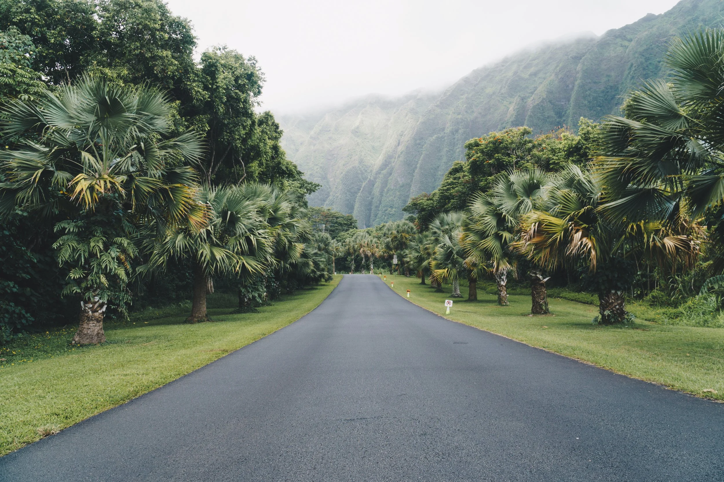 20190815VSCO HB2-10001.jpg