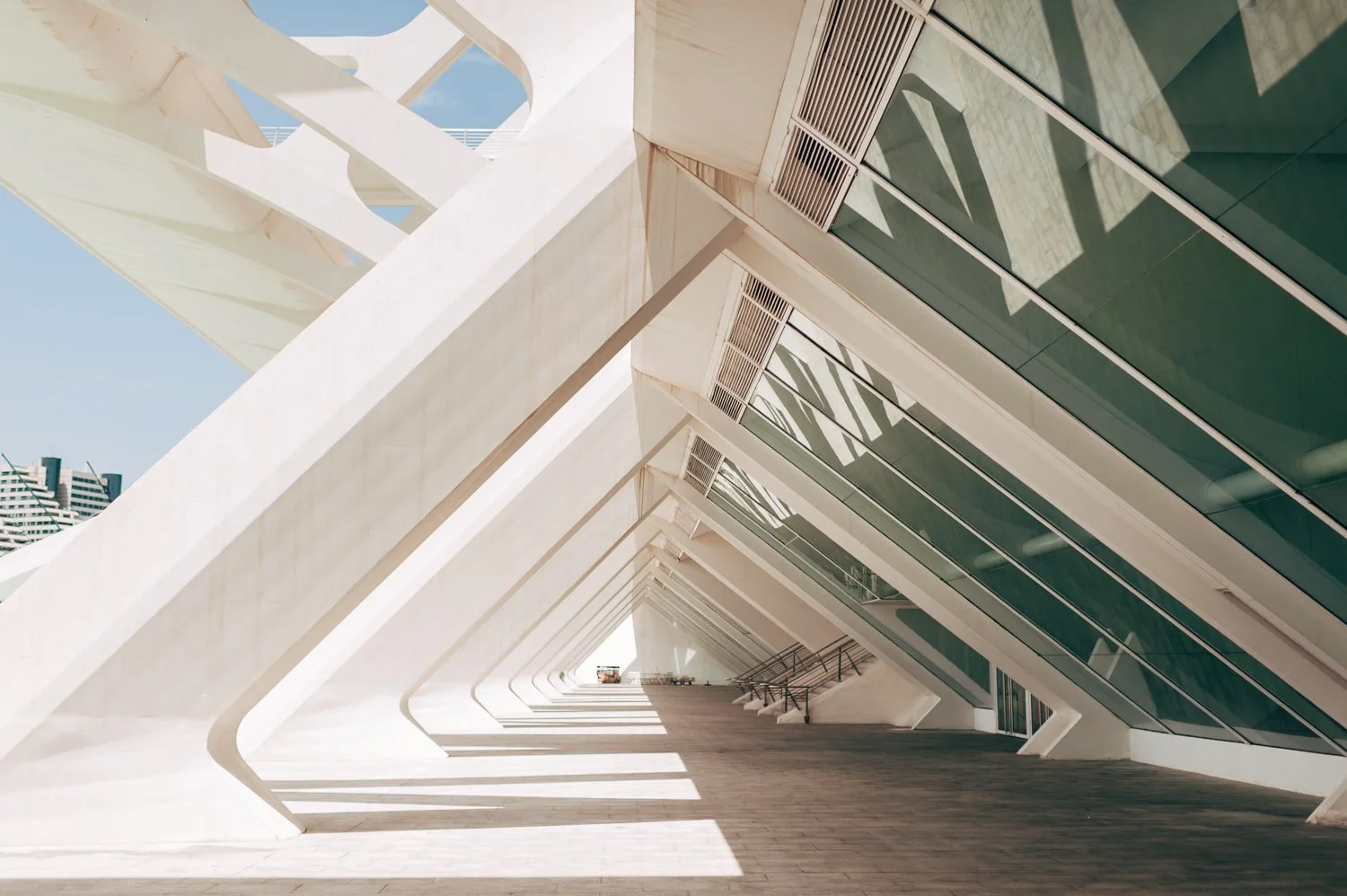 The E-Series Heritage Archive | 8 Authentic Film Presets for Lightroom Desktop & Mobile