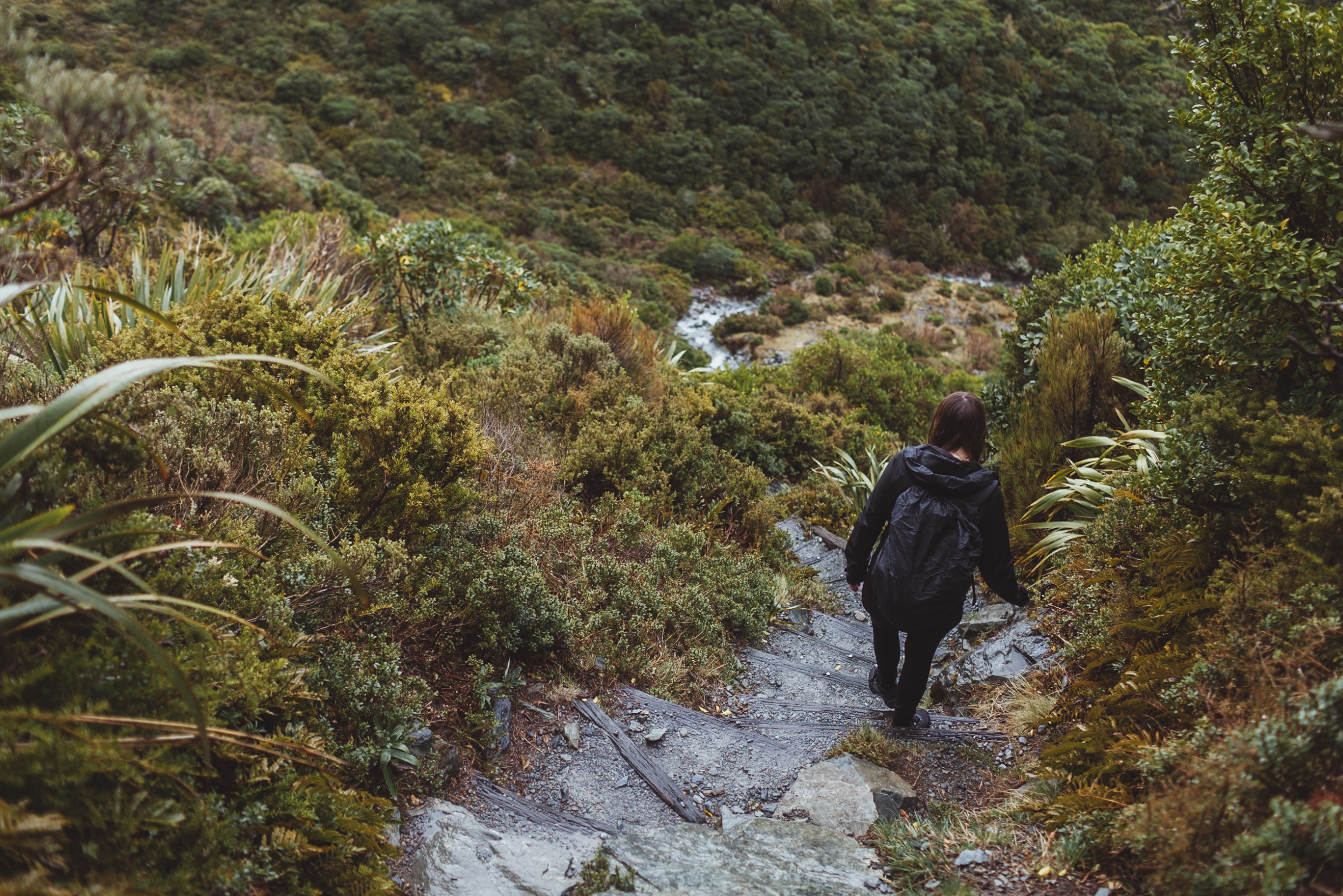 A9 Modern Classic | Warm Minimalist Analog Preset for Lightroom & Mobile