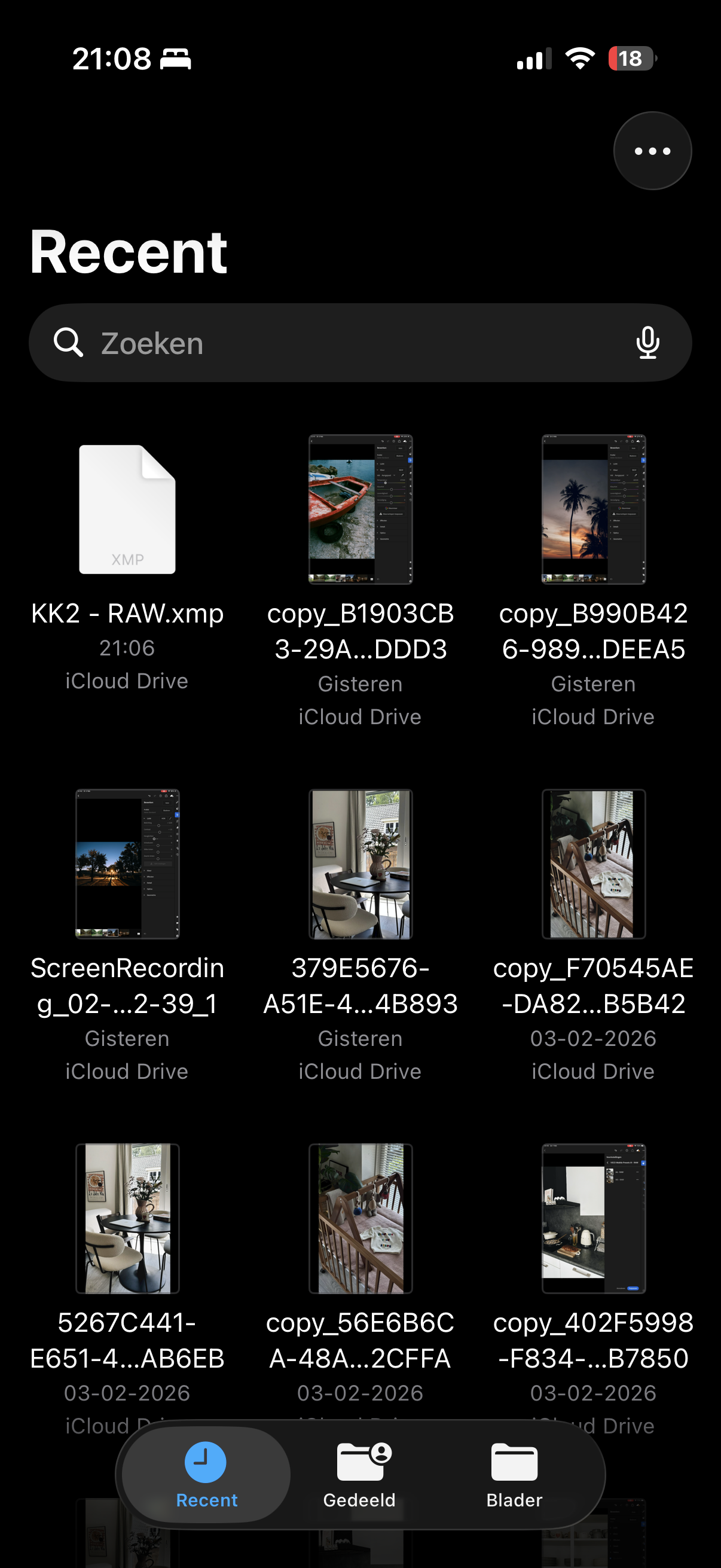 Files App with DNG File