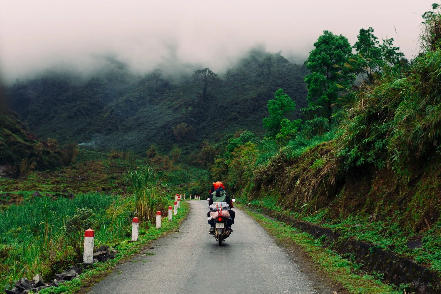 A motorcycle driving down a misty road through a lush green forest, edited with the G3 Deep Forest professional landscape preset.