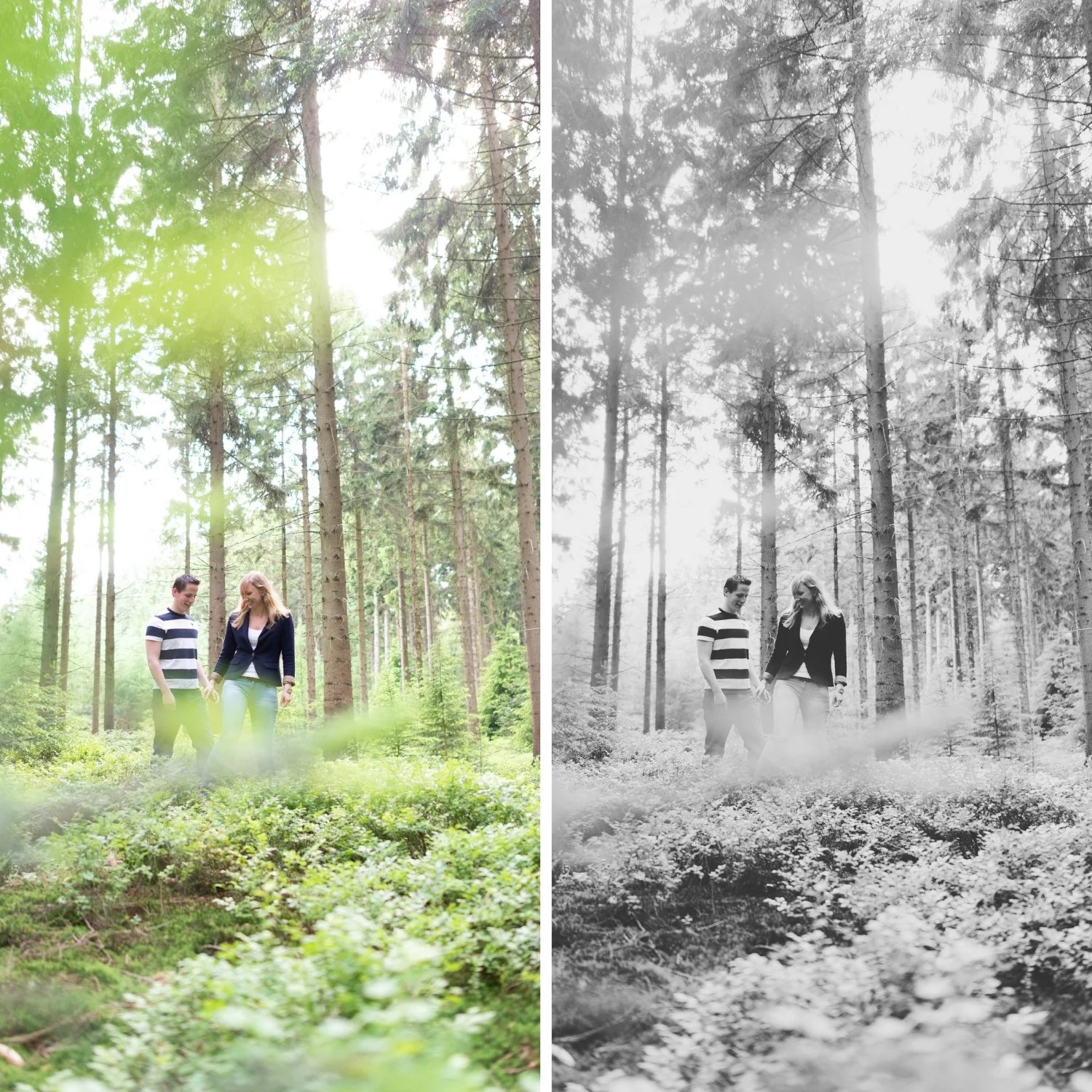 B2 Soft Silver | Portrait B&W Film Preset for Lightroom Desktop & Mobile