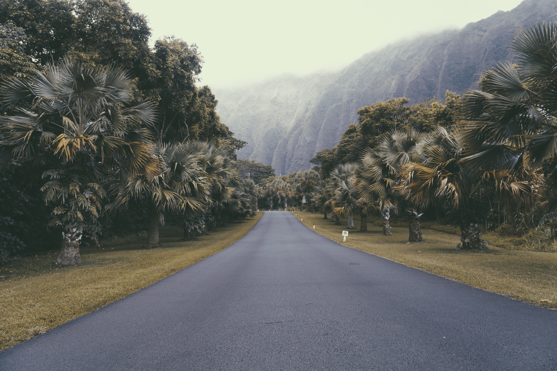 The Nostalgic Digicam Set | 90s/00s Retro Flash Presets