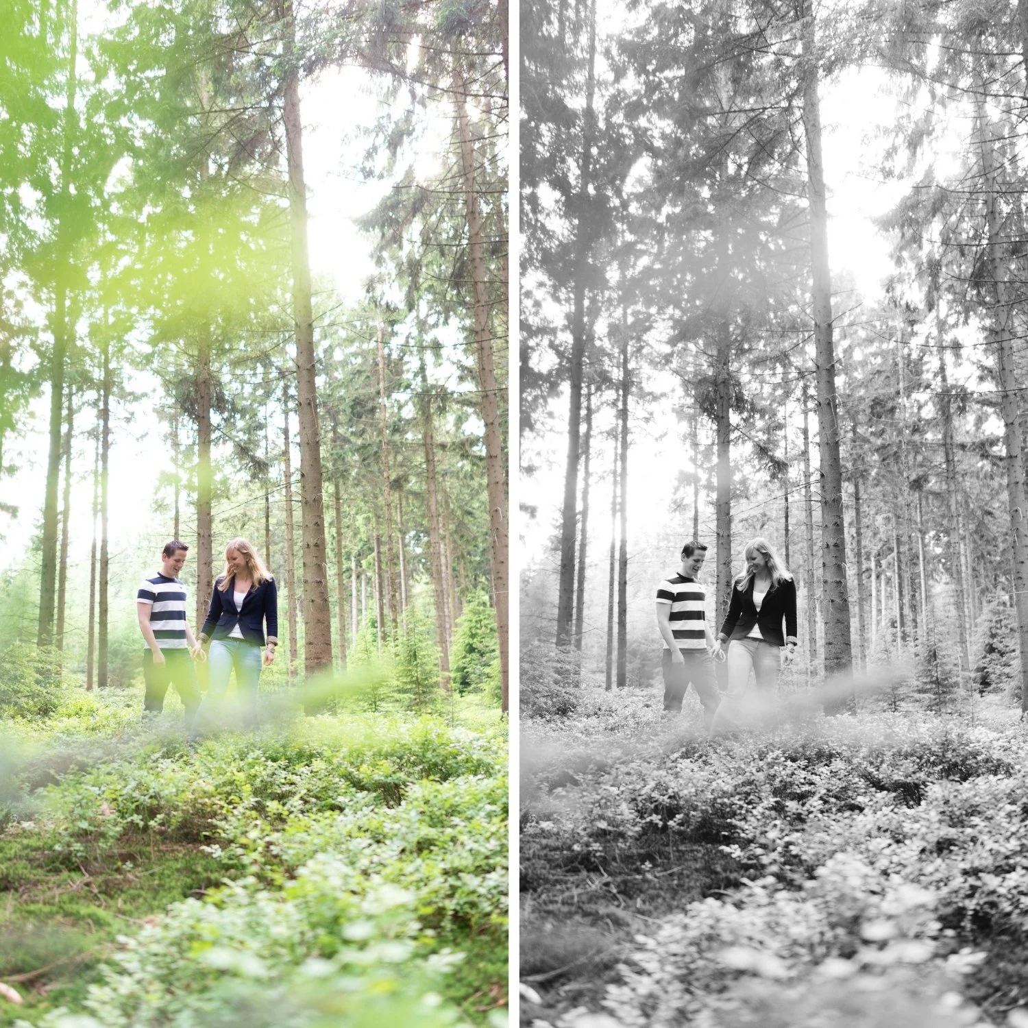 B1 Classic Silver | Black & White Film Preset for Lightroom Desktop & Mobile