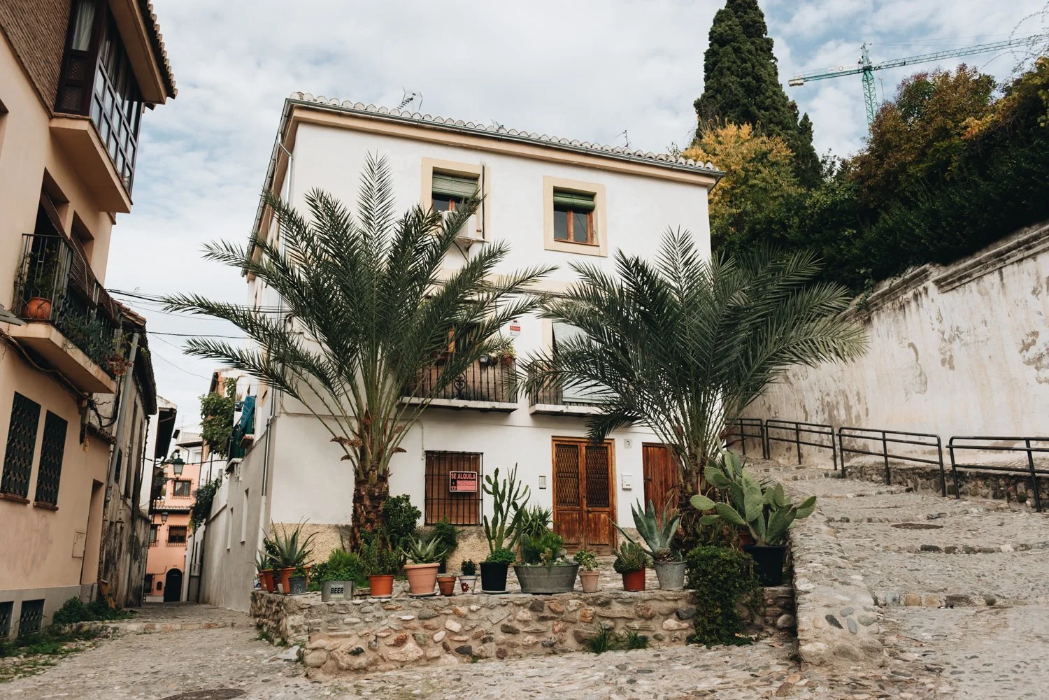 tone curve soft film highlight roll off lightroom example