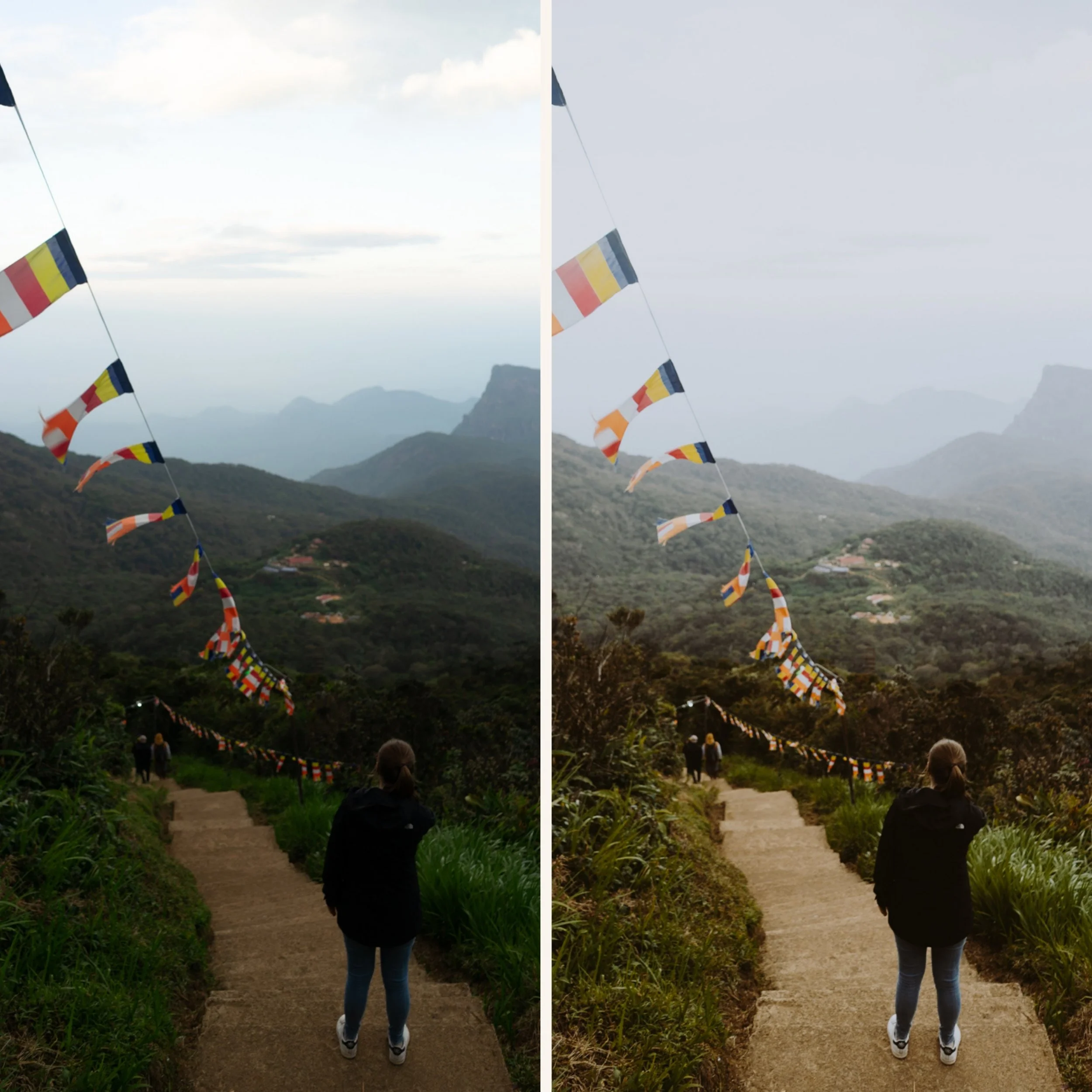 The M-Series Moody Archive | 6 Minimalist Film Presets for Lightroom & Mobile