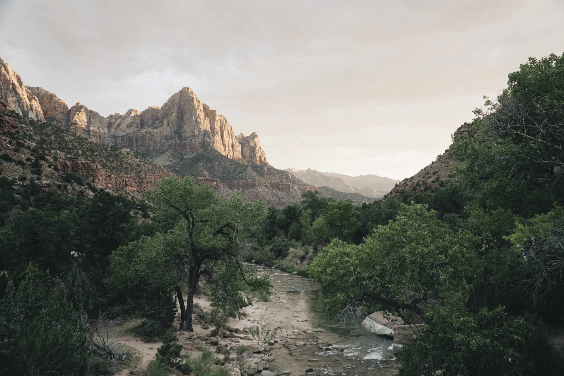 The Heritage Collection | Editorial & Old Money for Lightroom Desktop & Mobile