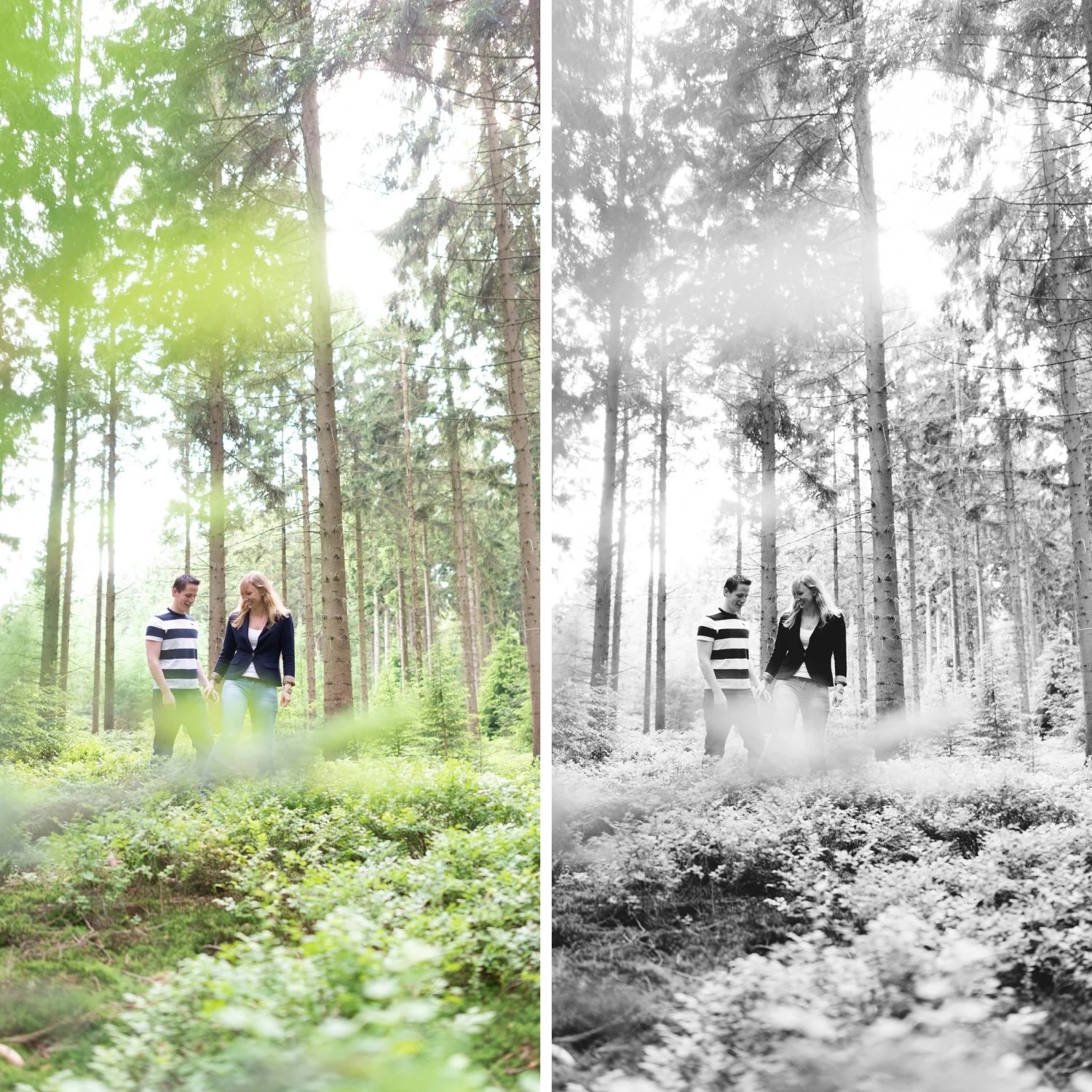 B5 Cool Tone | Editorial B&W Film Preset for Lightroom for Desktop & Mobile