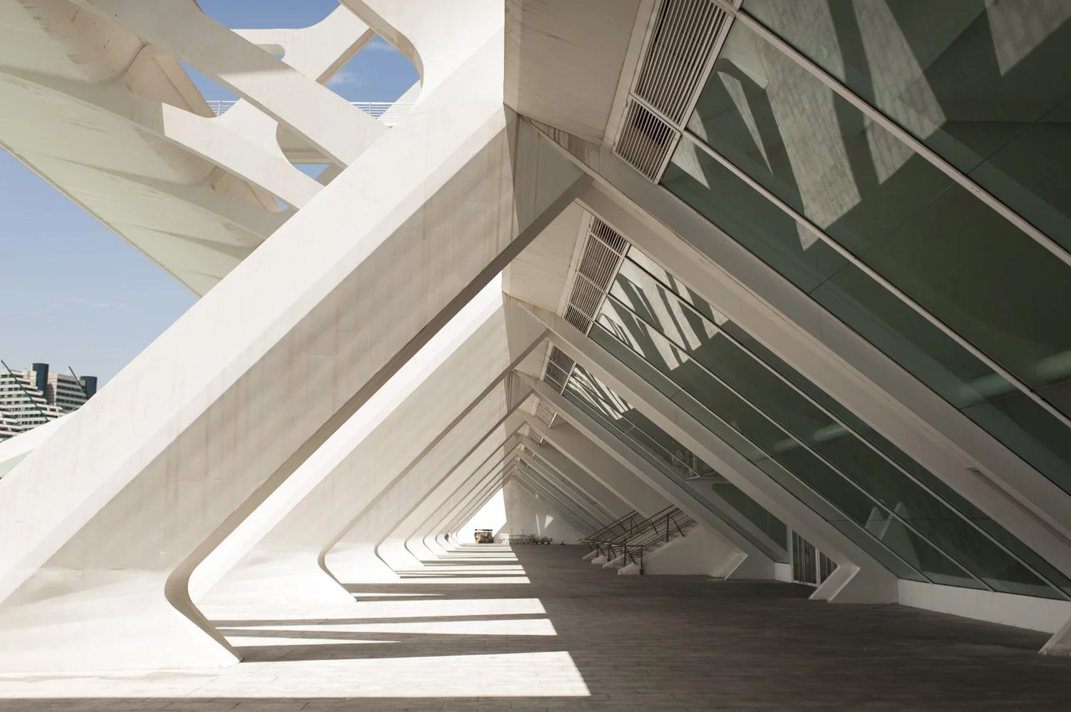 lightroom film preset before and after natural edit example