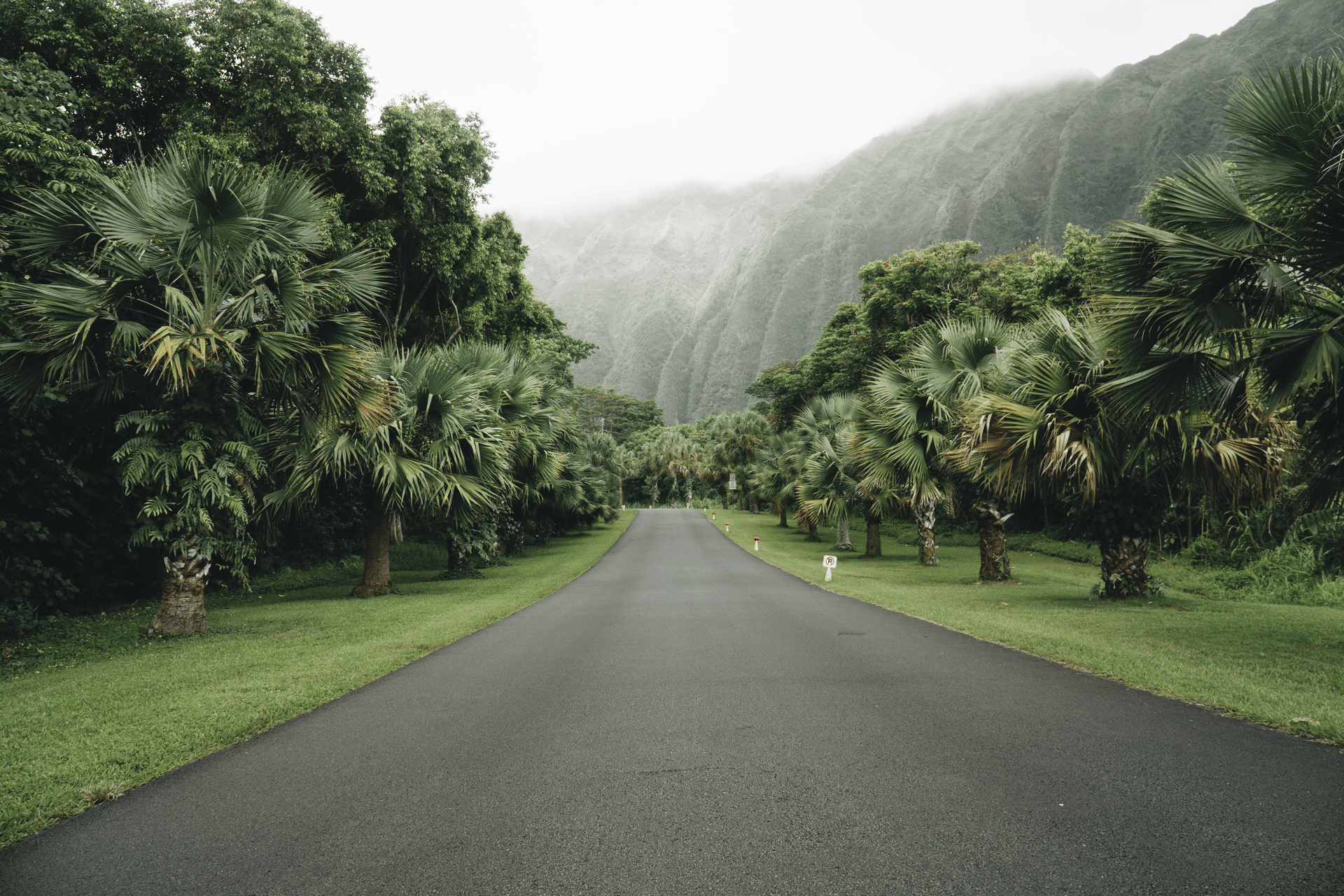 The Studio Archive | 100+ Professional Lightroom Presets Inspired by VSCO