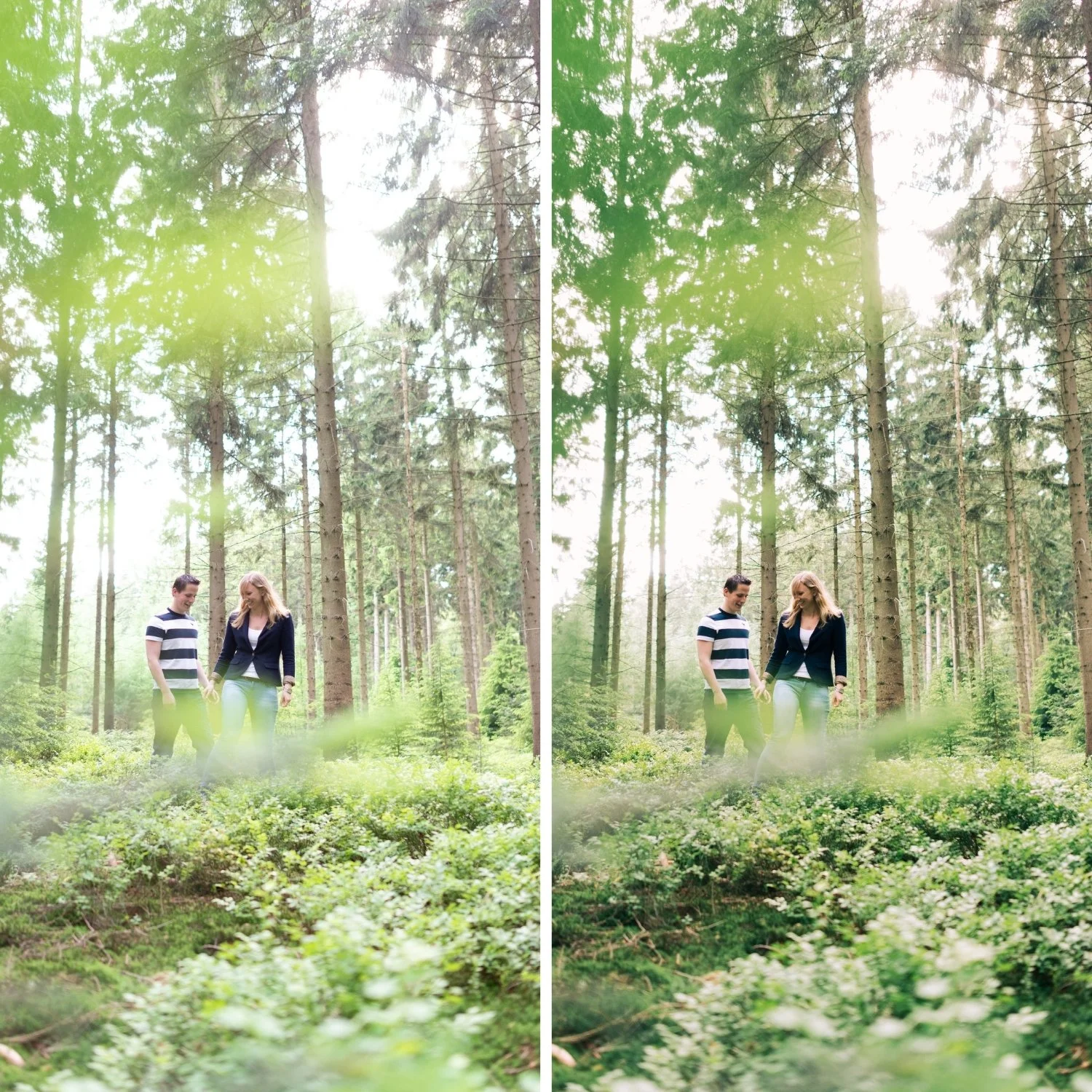 A1 Analog Original | Classic Film Preset for Lightroom Mobile & Desktop