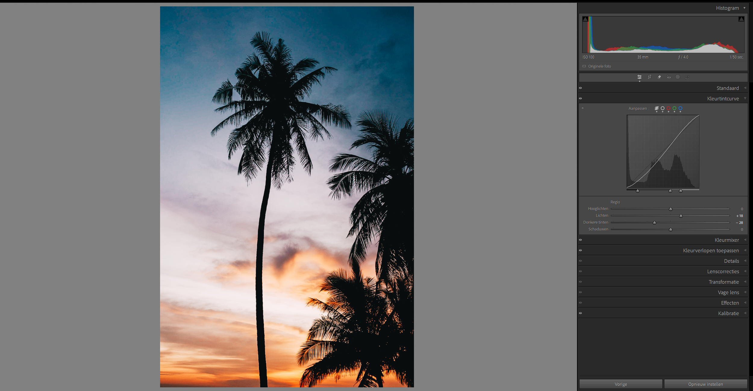 tone curve for clean minimal film look Lightroom example