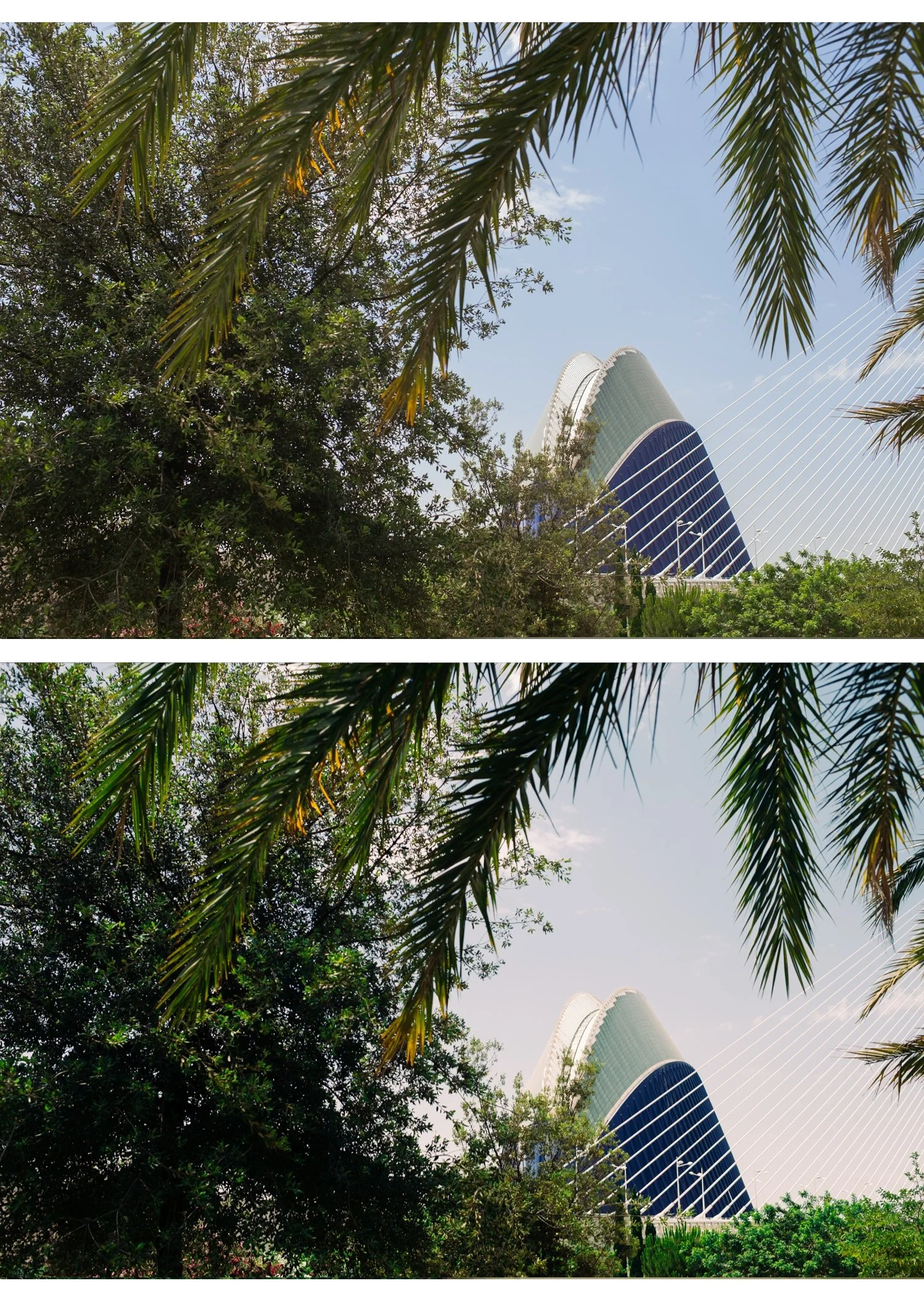 Glow Portrait Archive | 3 Portrait Film Presets for Lightroom Mobile & Desktop