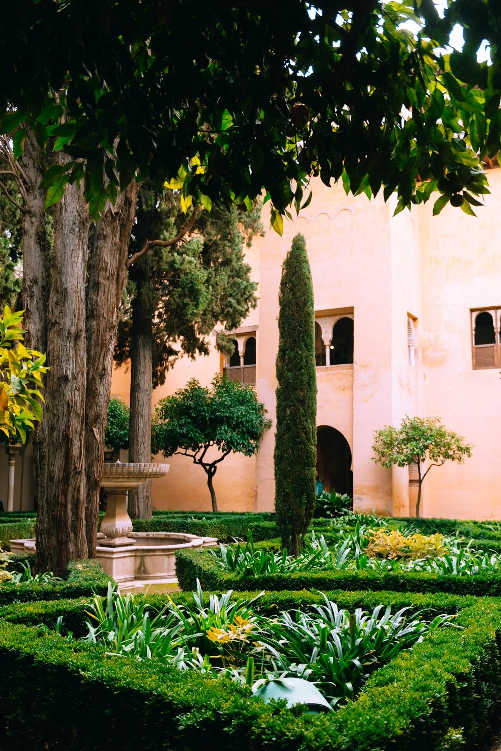 analog film preset after example in Lightroom