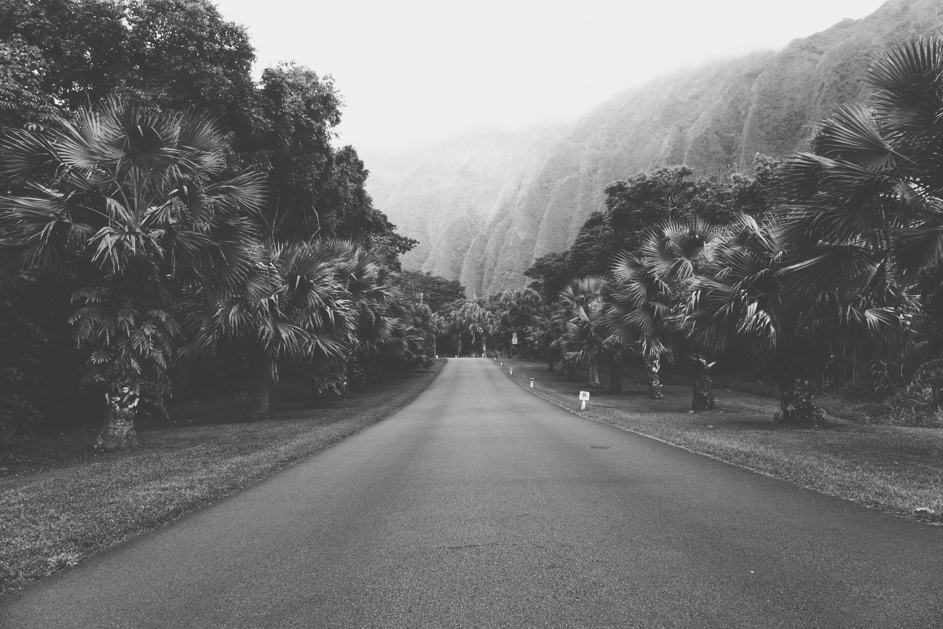 The VSCO X Series Archive | 6 Artistic Film Presets for Lightroom Desktop & Mobile