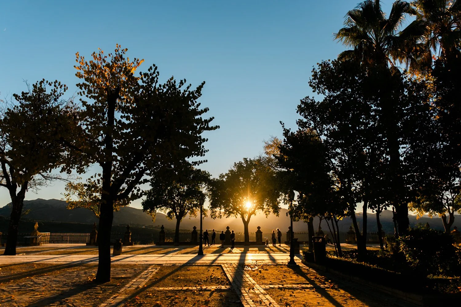 The Timeless Film Archive | Professional 35mm & Analog Inspired Presets for Lightroom Desktop & Mobile