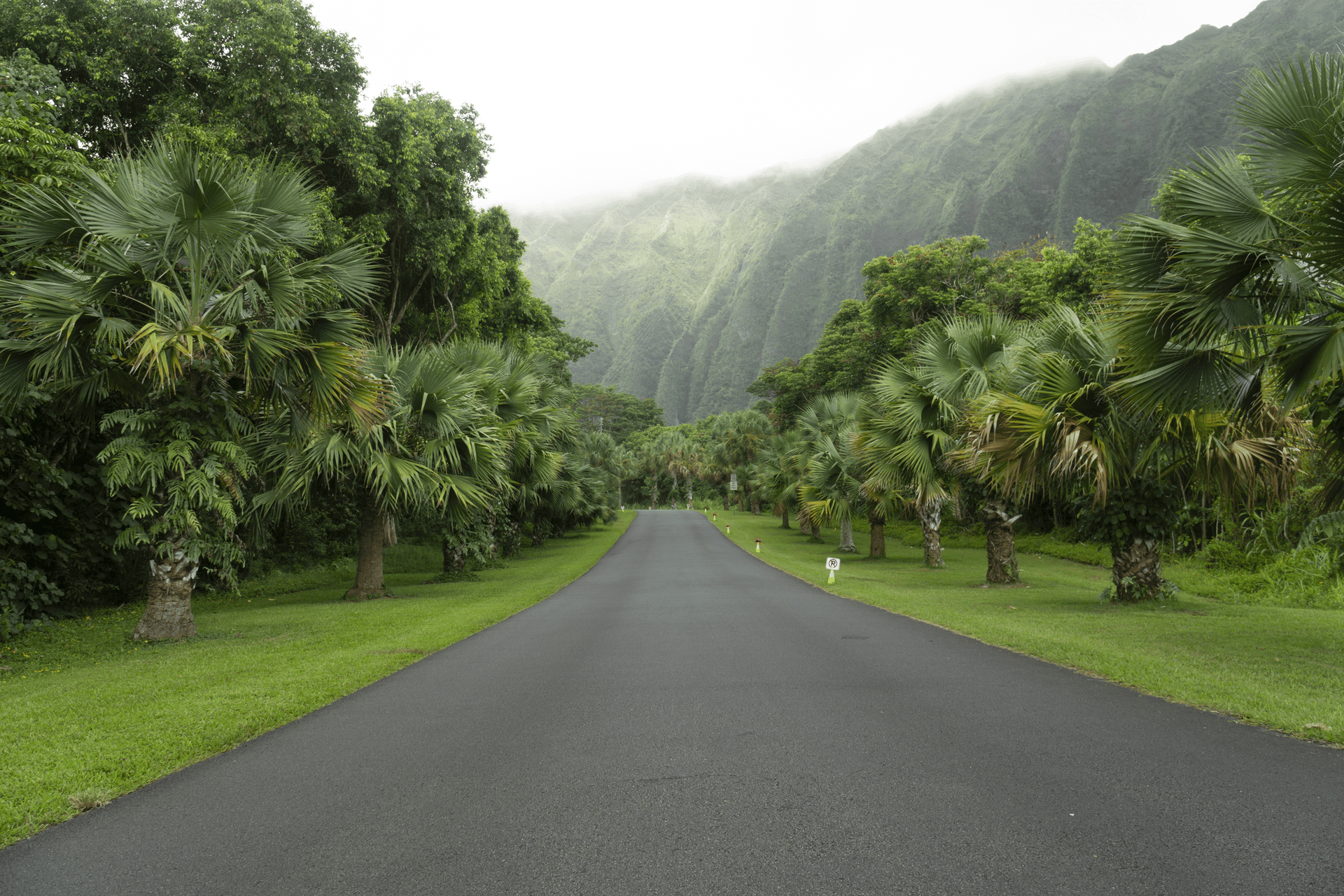 The VSCO KK Series | 2 Signature Film Presets for Lightroom Desktop & Mobile