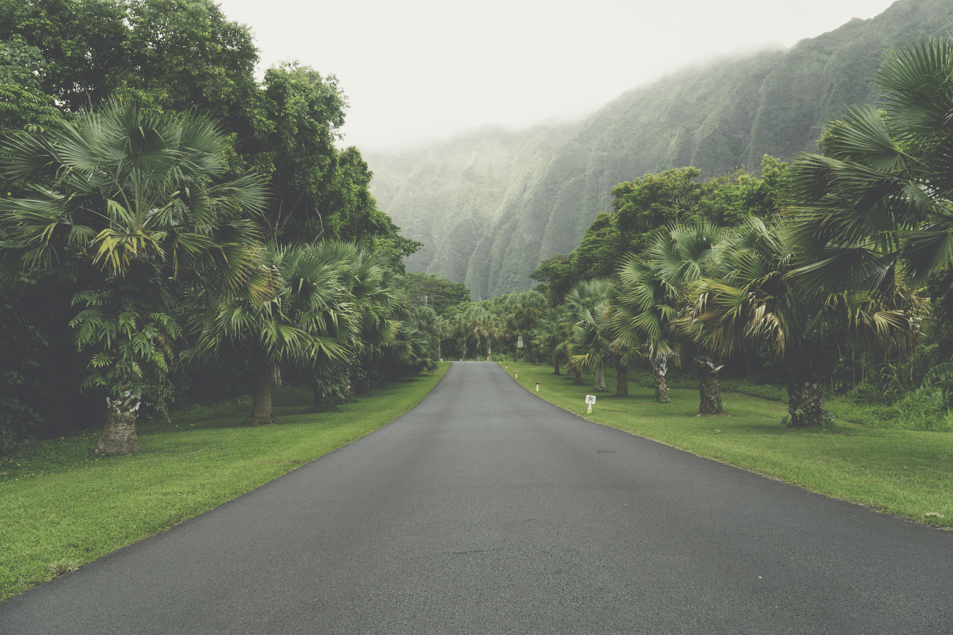 The VSCO T Series Archive | 3 Moody Editorial Presets for Lightroom Desktop & Mobile