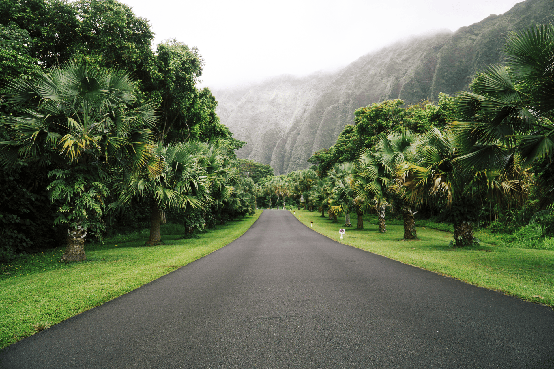 The VSCO K Series Archive | 3 Classic Kodachrome Presets for Lightroom Desktop & Mobile