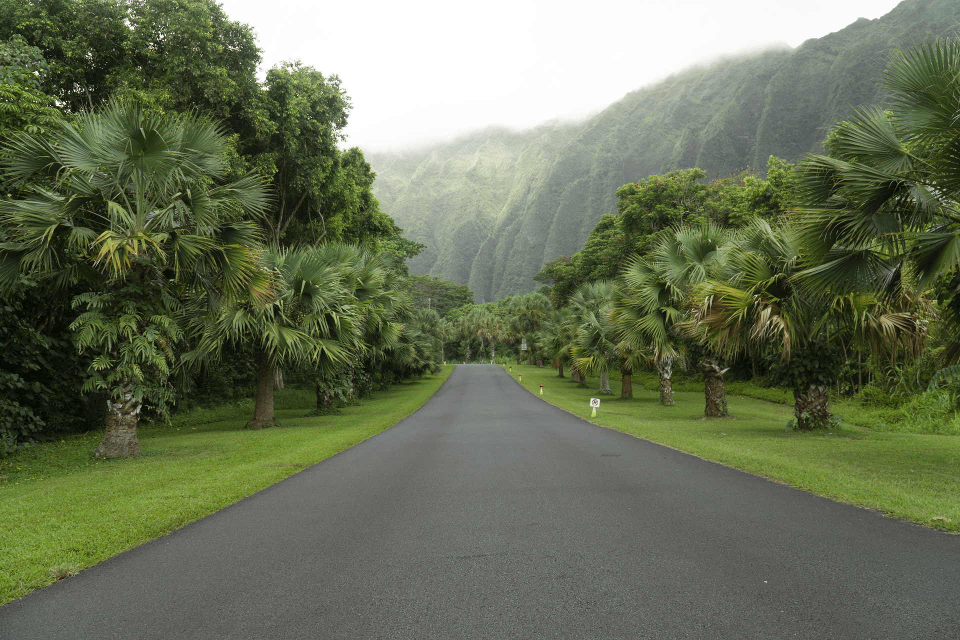 The VSCO A9 | Professional Warm Minimalist Film Preset for Lightroom and Lightroom Mobile