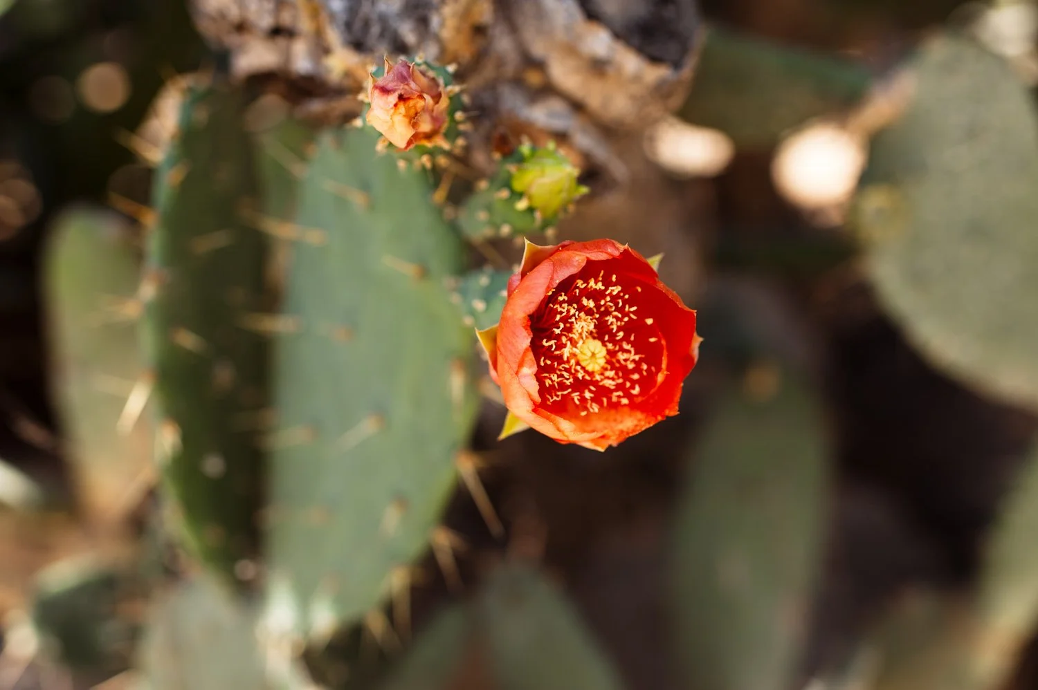 N1 Modern Classic Lightroom preset showing a natural and neutral edit. Maintains true-to-life colors with improved clarity and professional tonal balance for an authentic look.