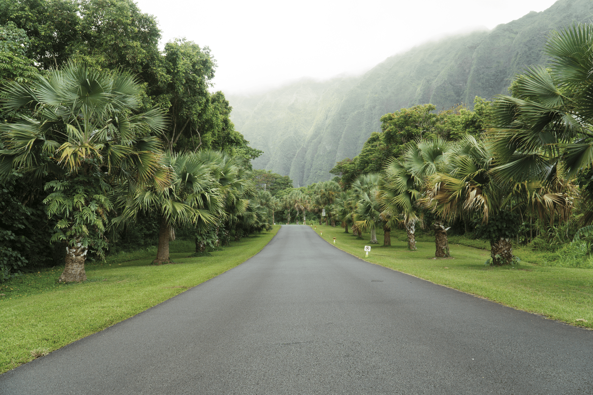 The VSCO S2 | Professional Bright & Clean Lifestyle Preset for Lightroom Mobile & Desktop