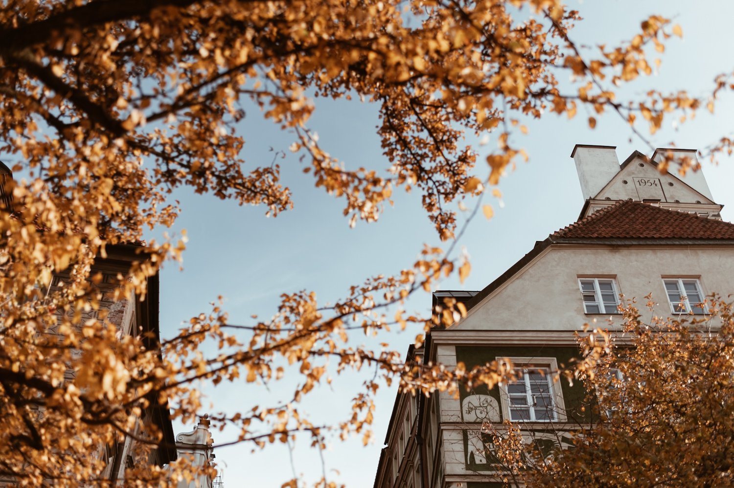 The A-Series Analog Archive | 10 Essential Film Archetype Presets for Lightroom