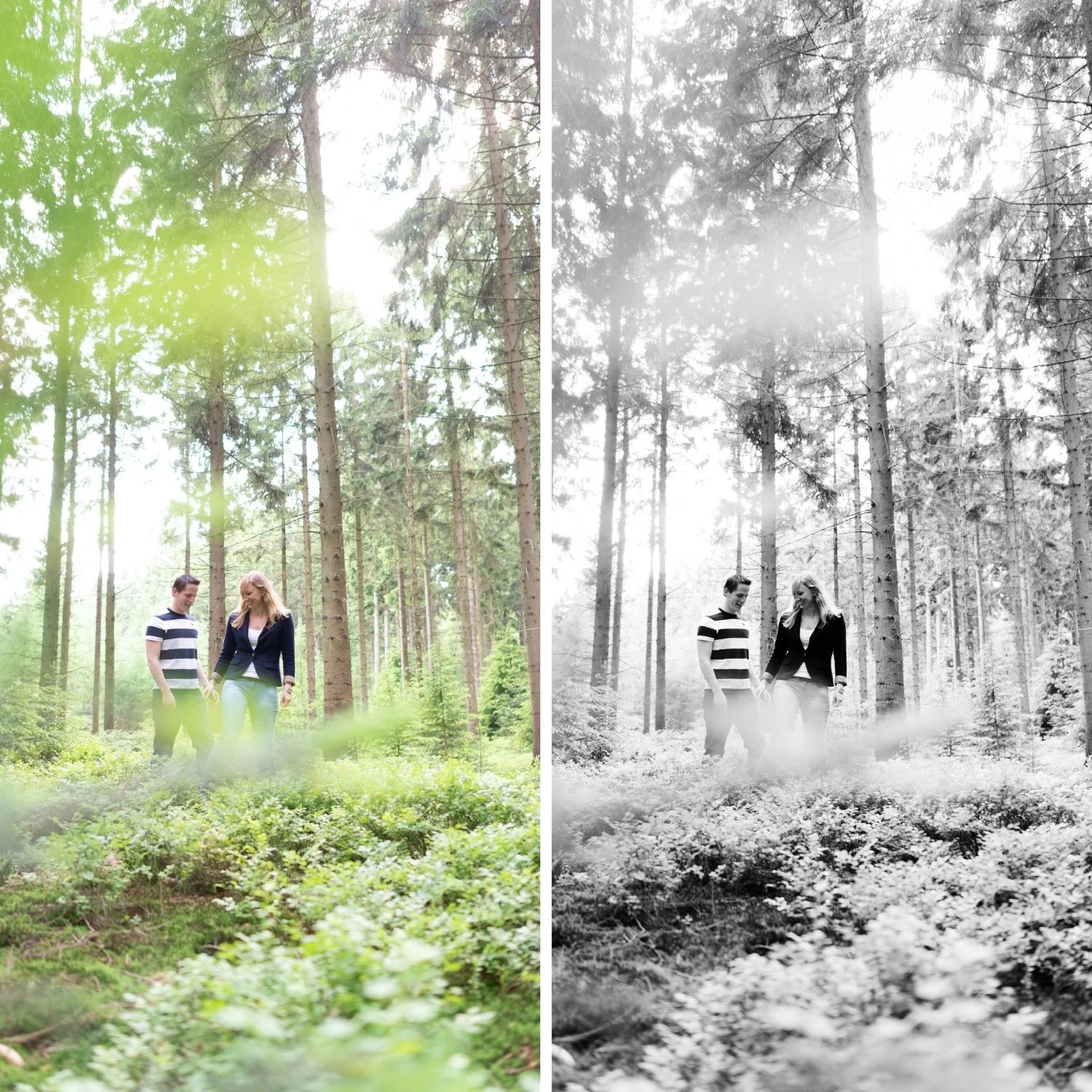 B4 Warm Tone | Darkroom B&W Film Preset for Lightroom Desktop & Mobile