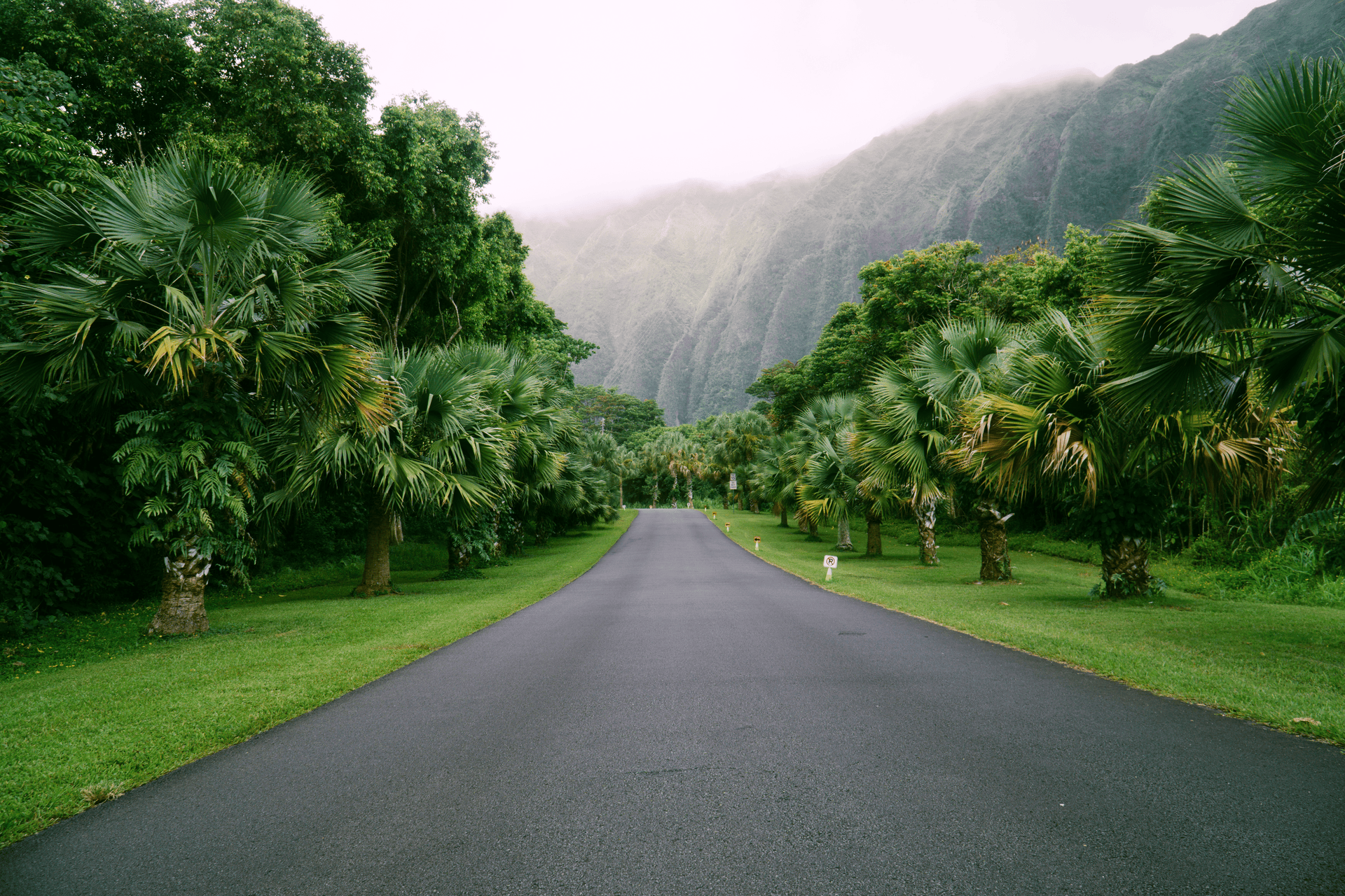 C1 Modern Classic | Chromatic Vibrant Analog Preset for Lightroom & Mobile