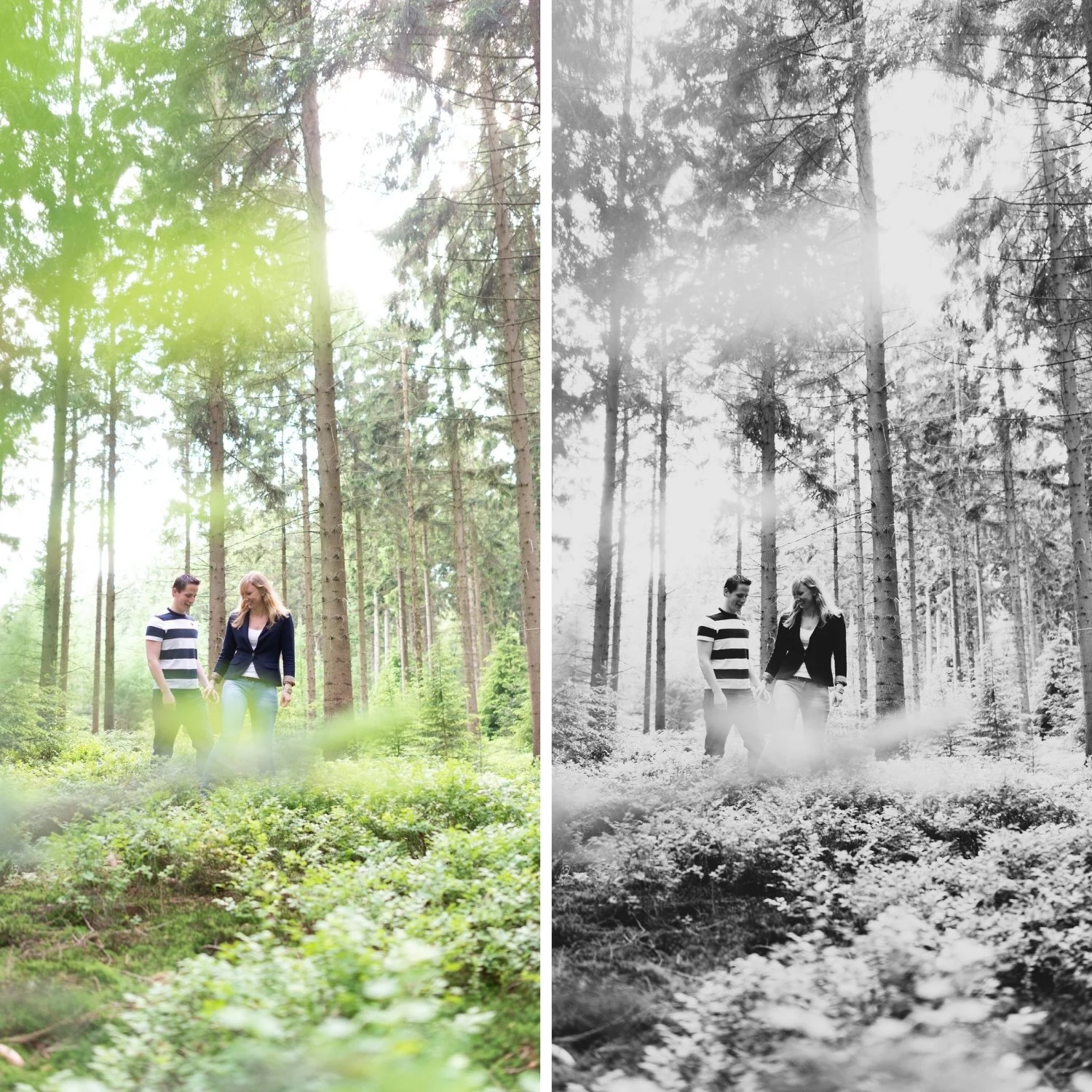 B6 Matte Film | Faded B&W Film Preset for Lightroom Desktop & Mobile