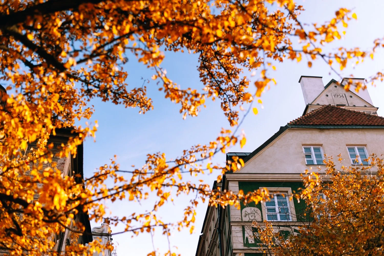 K3 Modern Classic | Bold Heritage & Clean Analog Preset for Lightroom & Mobile