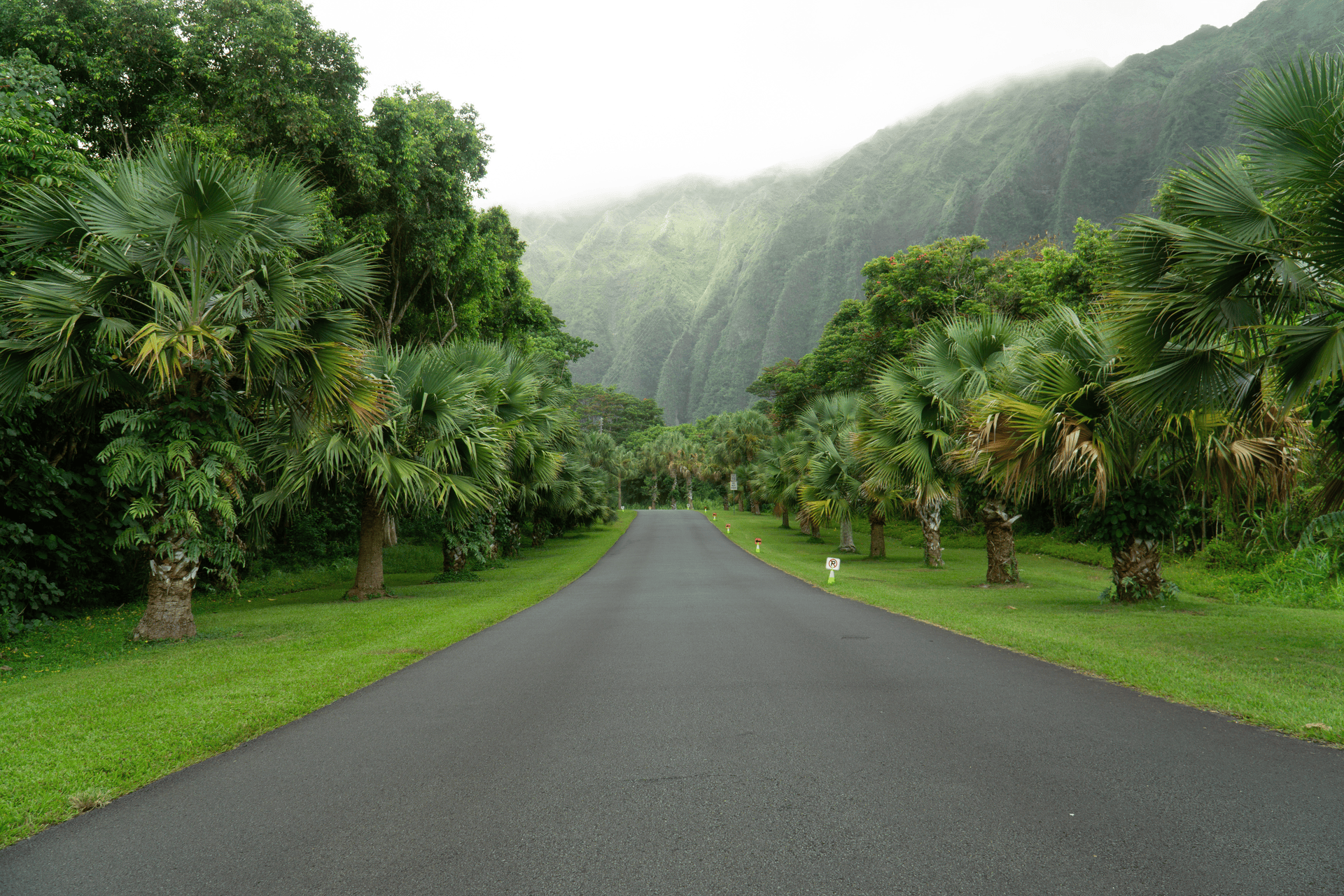 C8 Modern Classic | Intense Cinematic Analog Preset for Lightroom & Mobile