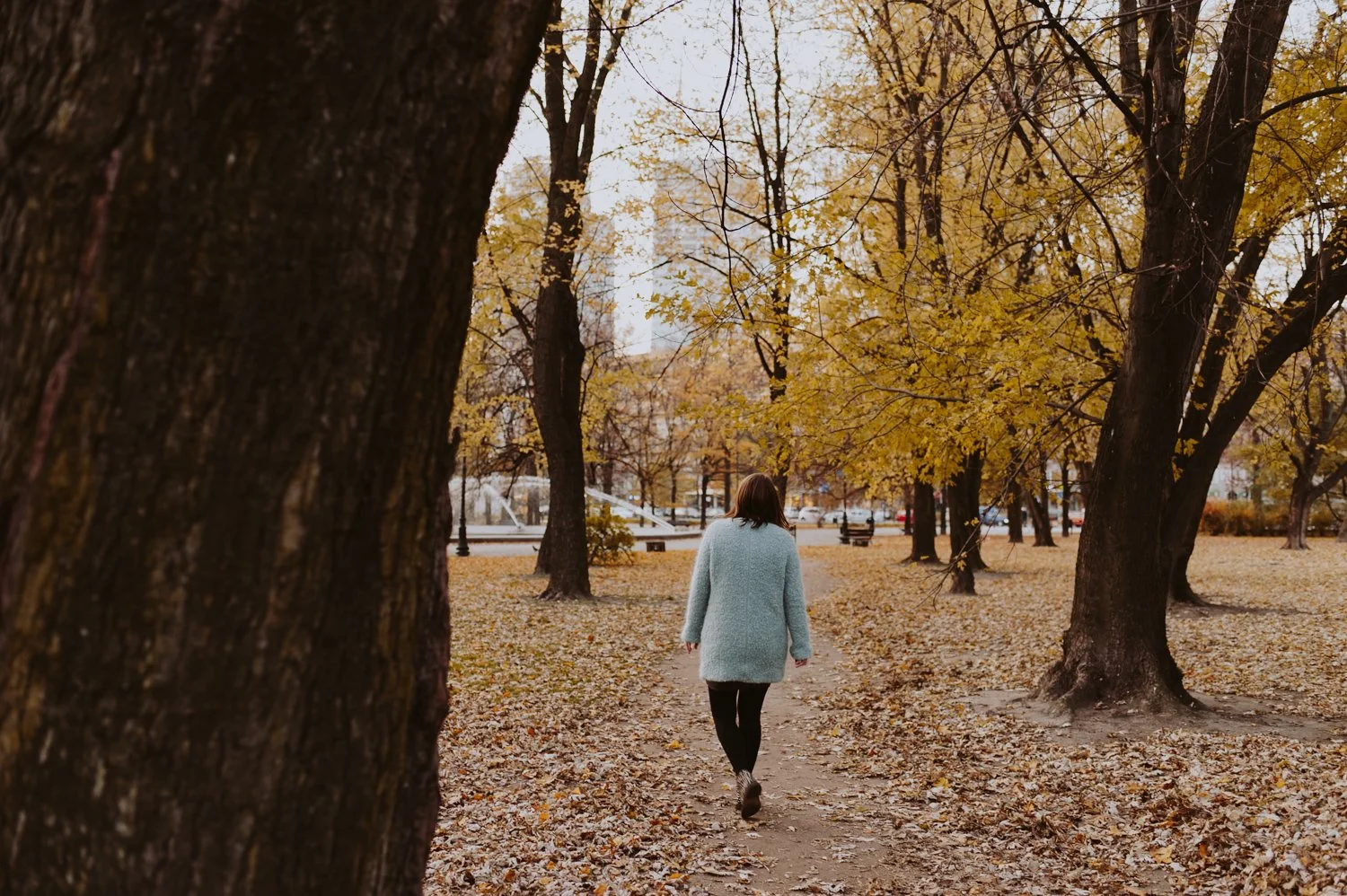 Autumn in Warsaw edited with vsco M5