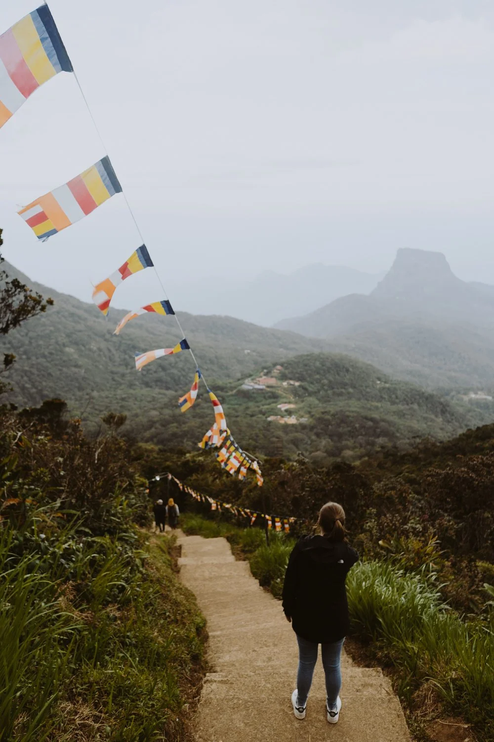 moody preset before and after Lightroom example