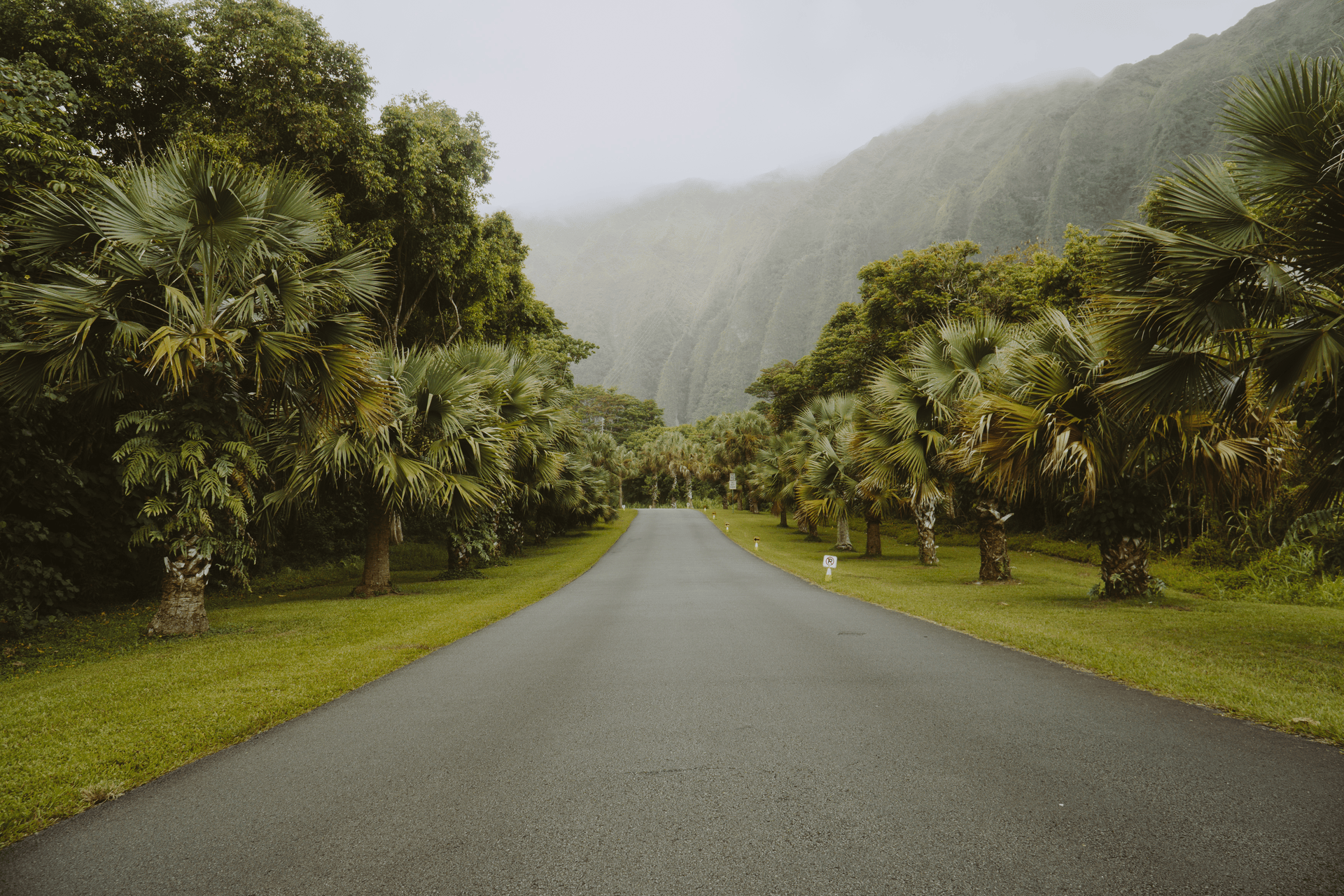 The Golden Hour Archive | Sunkissed & Summer Glow for Lightroom Desktop & Mobile