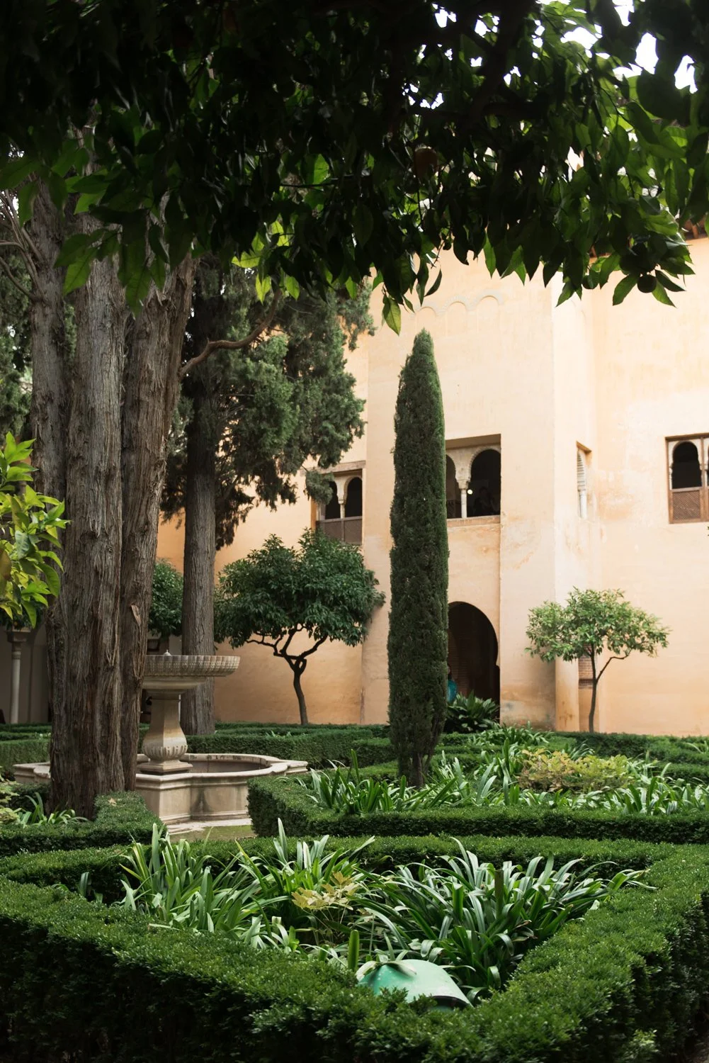 analog film preset before example in Lightroom