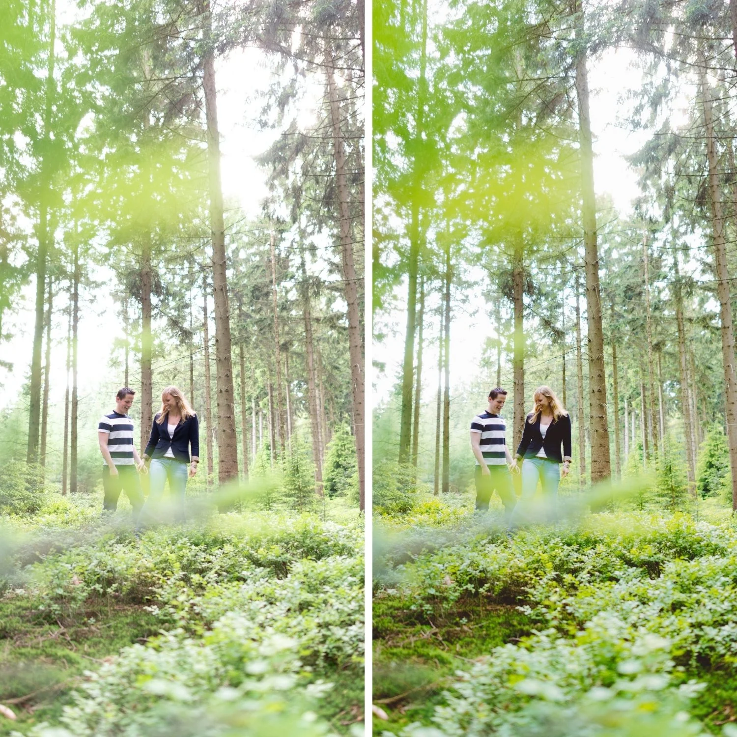 Fine Art 03 Muted Fine Art | Fine Art Film Preset for Lightroom Mobile & Desktop