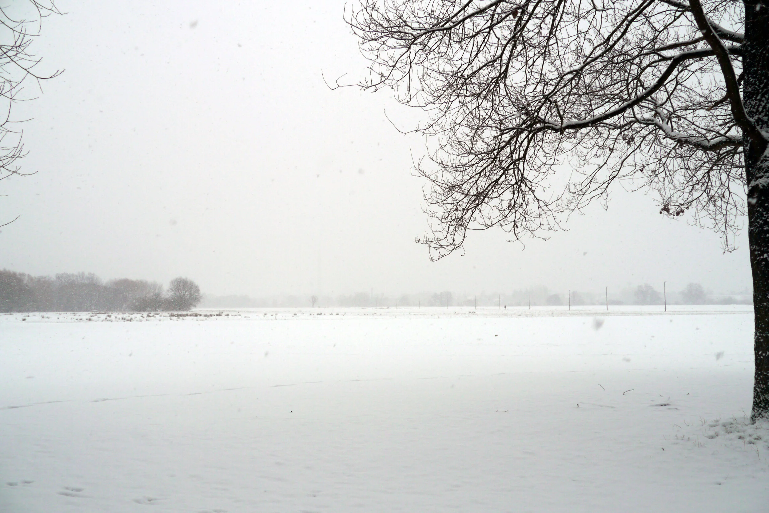 Neues EU-Projekt: Stadtnahe Freiflächen erhalten