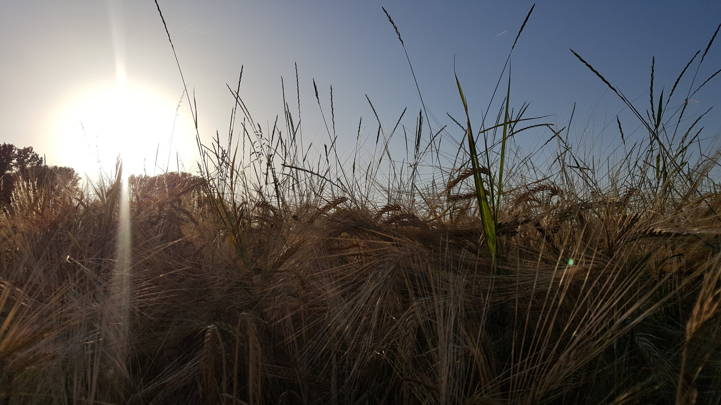 Bund Naturschutz kämpfte einst für beste Trasse: aus der Mitgliederzeitschrift "Natur + Umwelt" 4/2019