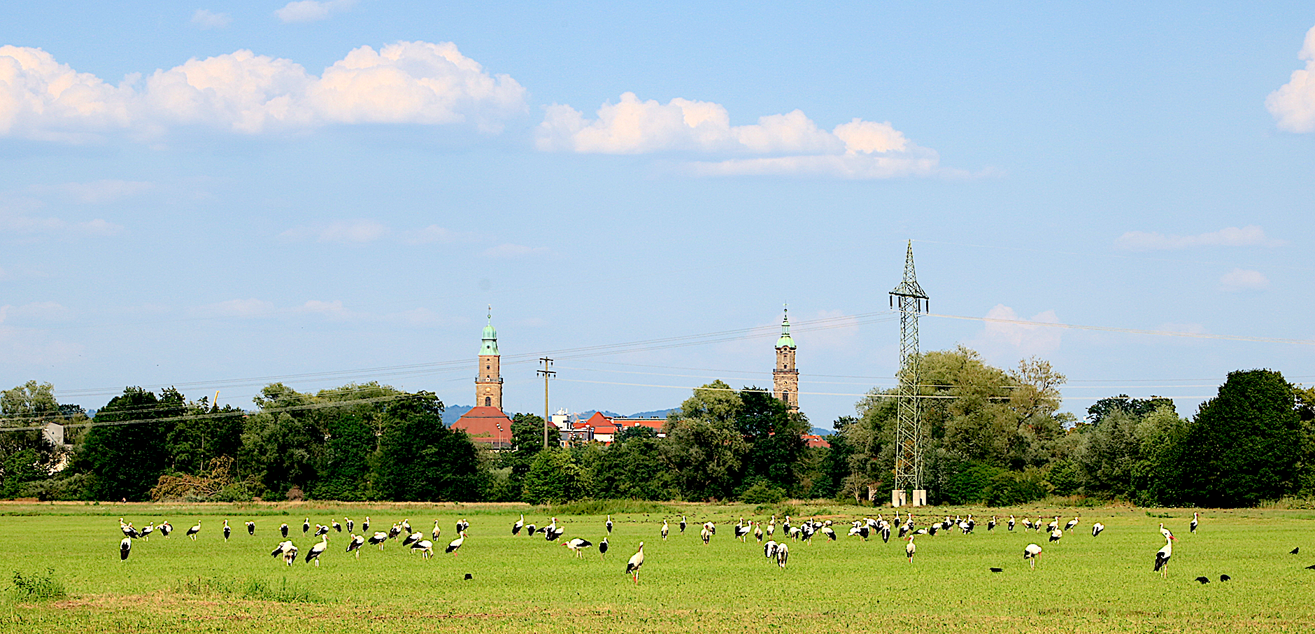 Realisierungswettbewerb „Brücke über den Regnitzgrund in Erlangen“